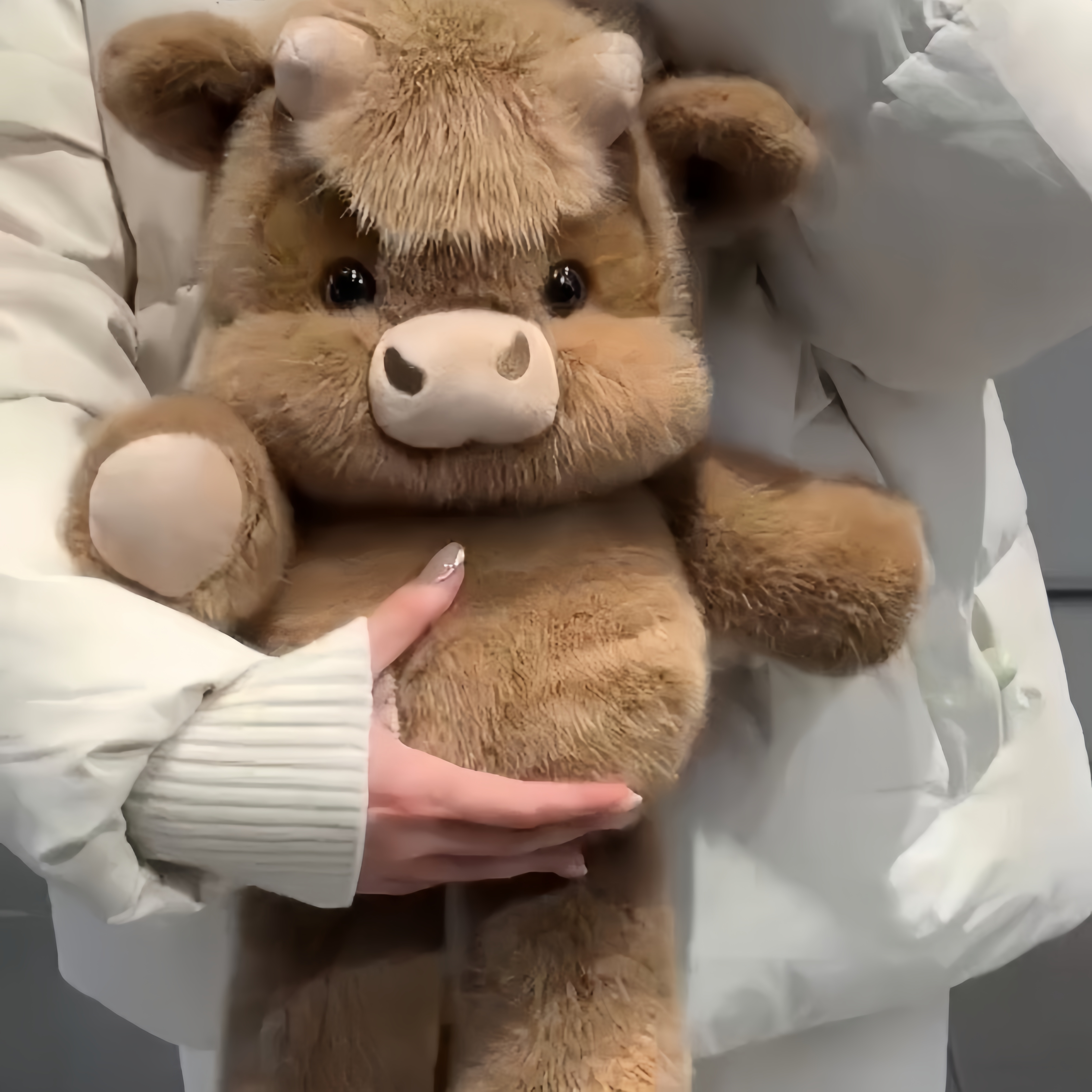 ChubbyHighlandCow Plushie