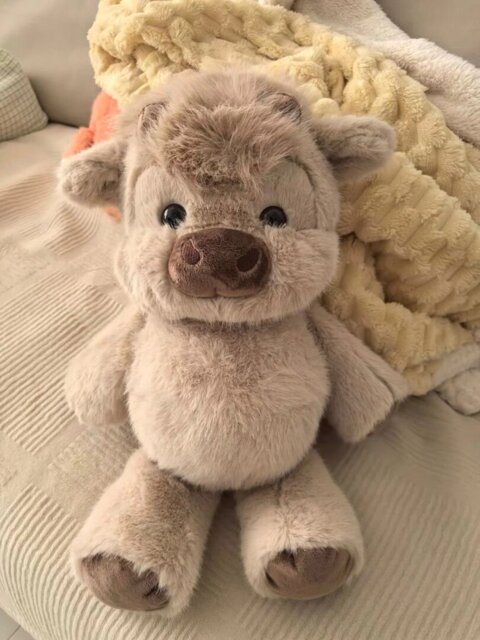 Interactive movable plushie styling