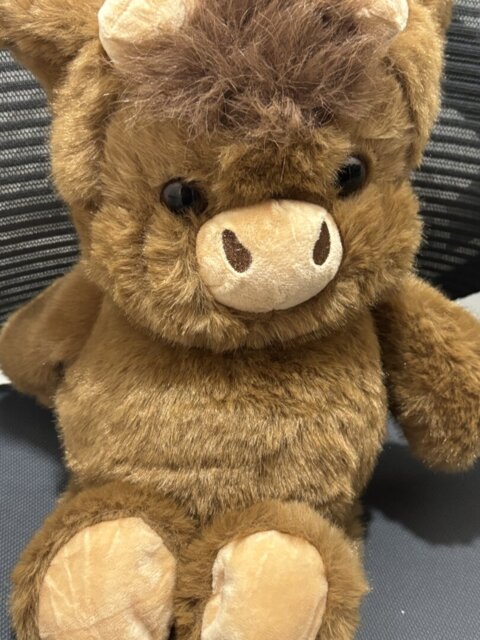 Super soft huggable companion setup