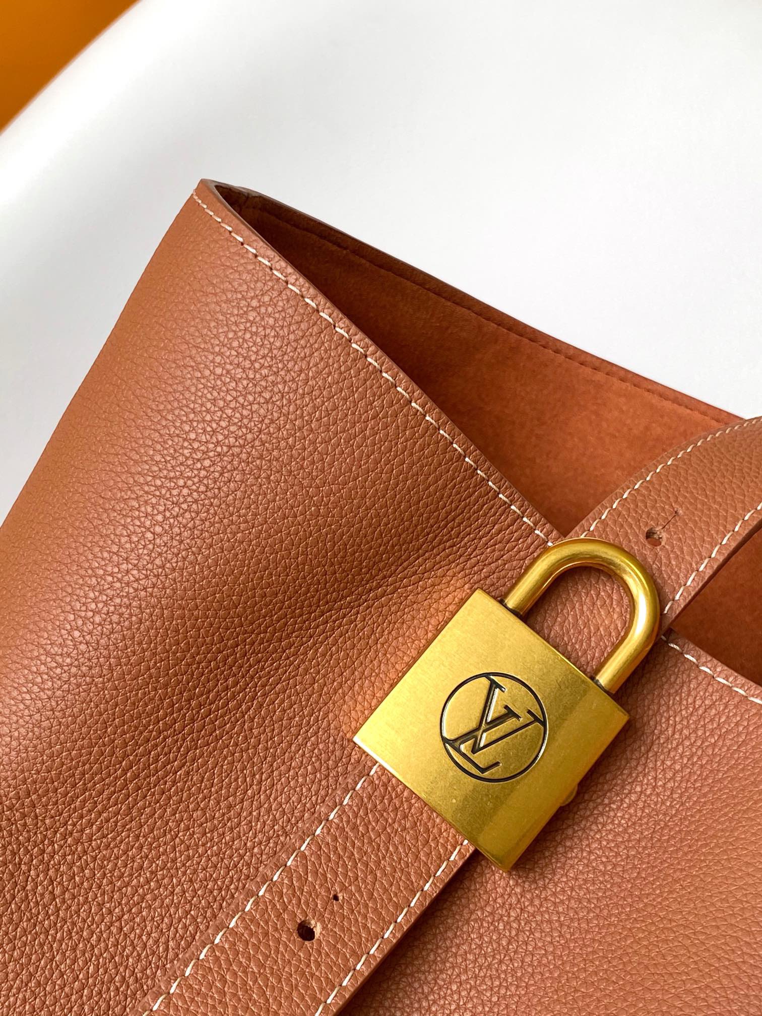 Louis Vuitton medium calfskin bag