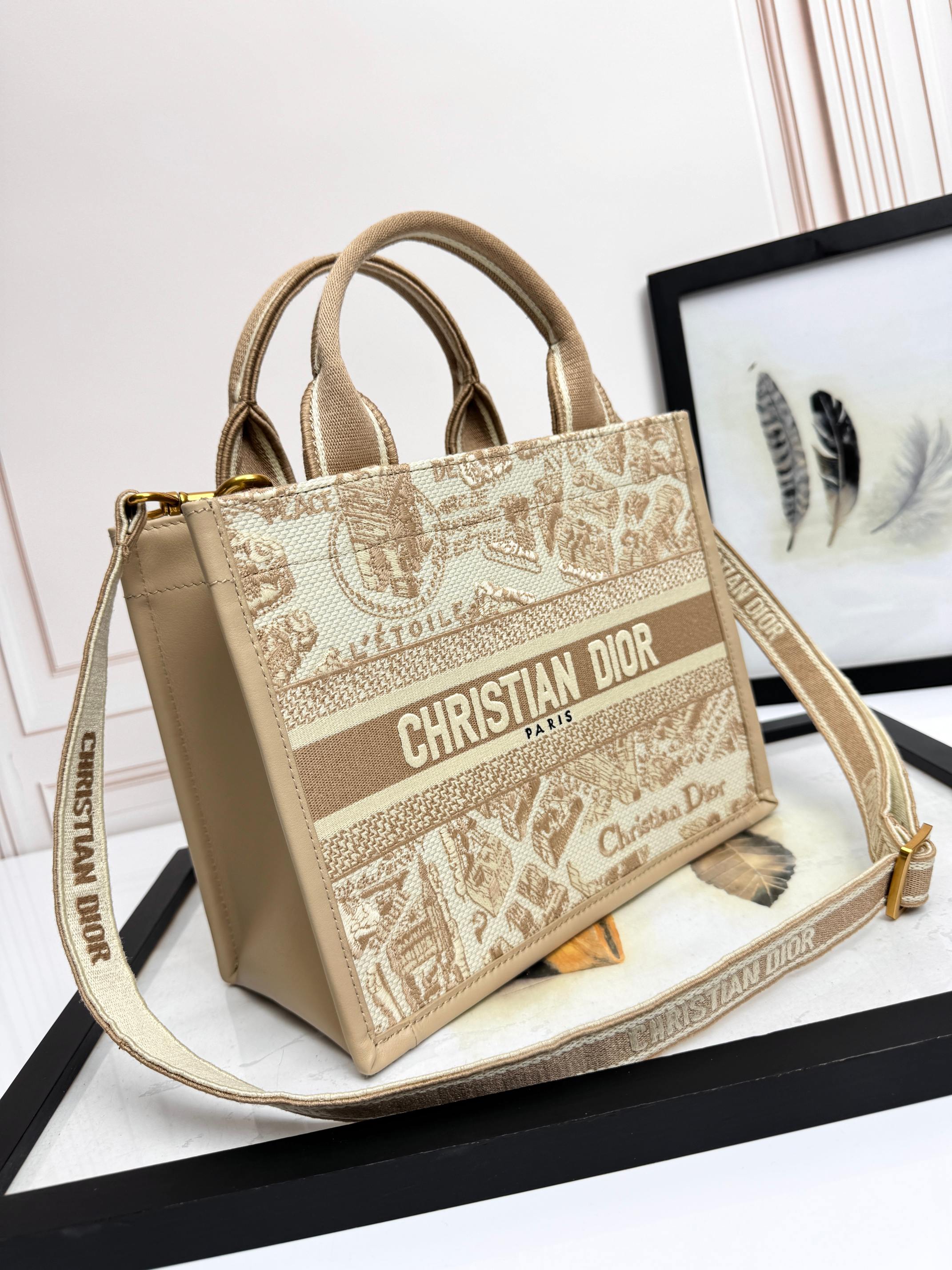 Dior Embroidered Canvas Small  Book Tote with shoulder strap