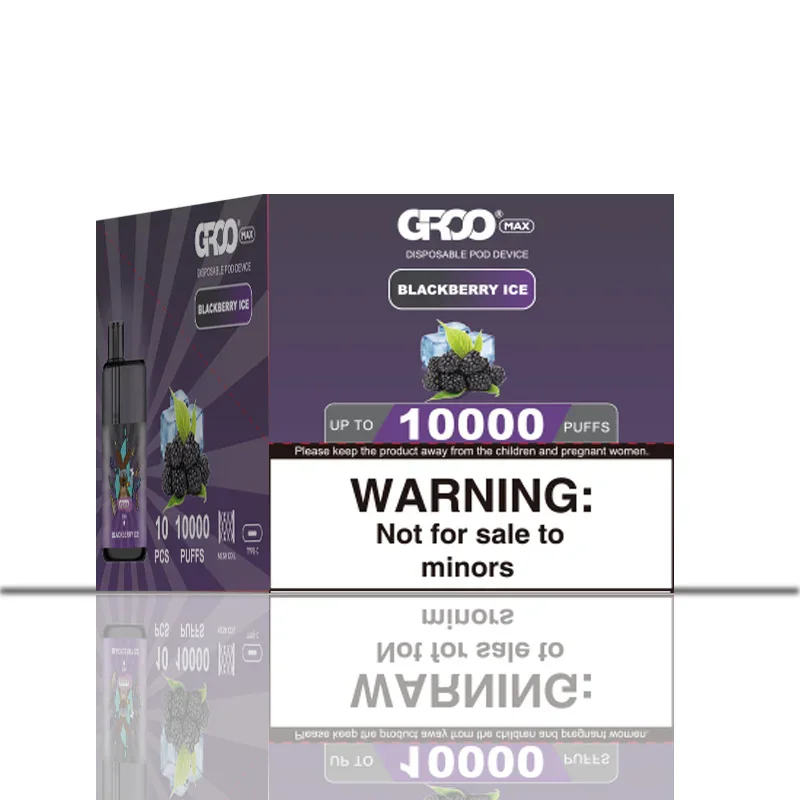 GROO MAX 10K Rechargeable Disposable Vape – Blackberry Ice - Vaba Vape-Shop