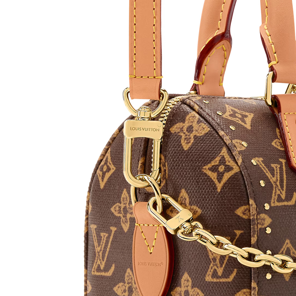 Louis Vuitton LV bags Speedy Trunk 20