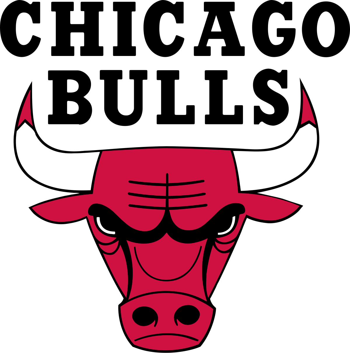 CHICAGO BULLS