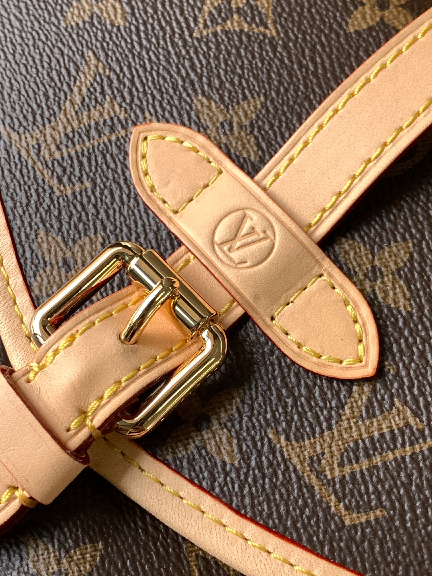 Louis Vuitton Bags Saumur BB MonogramM46740