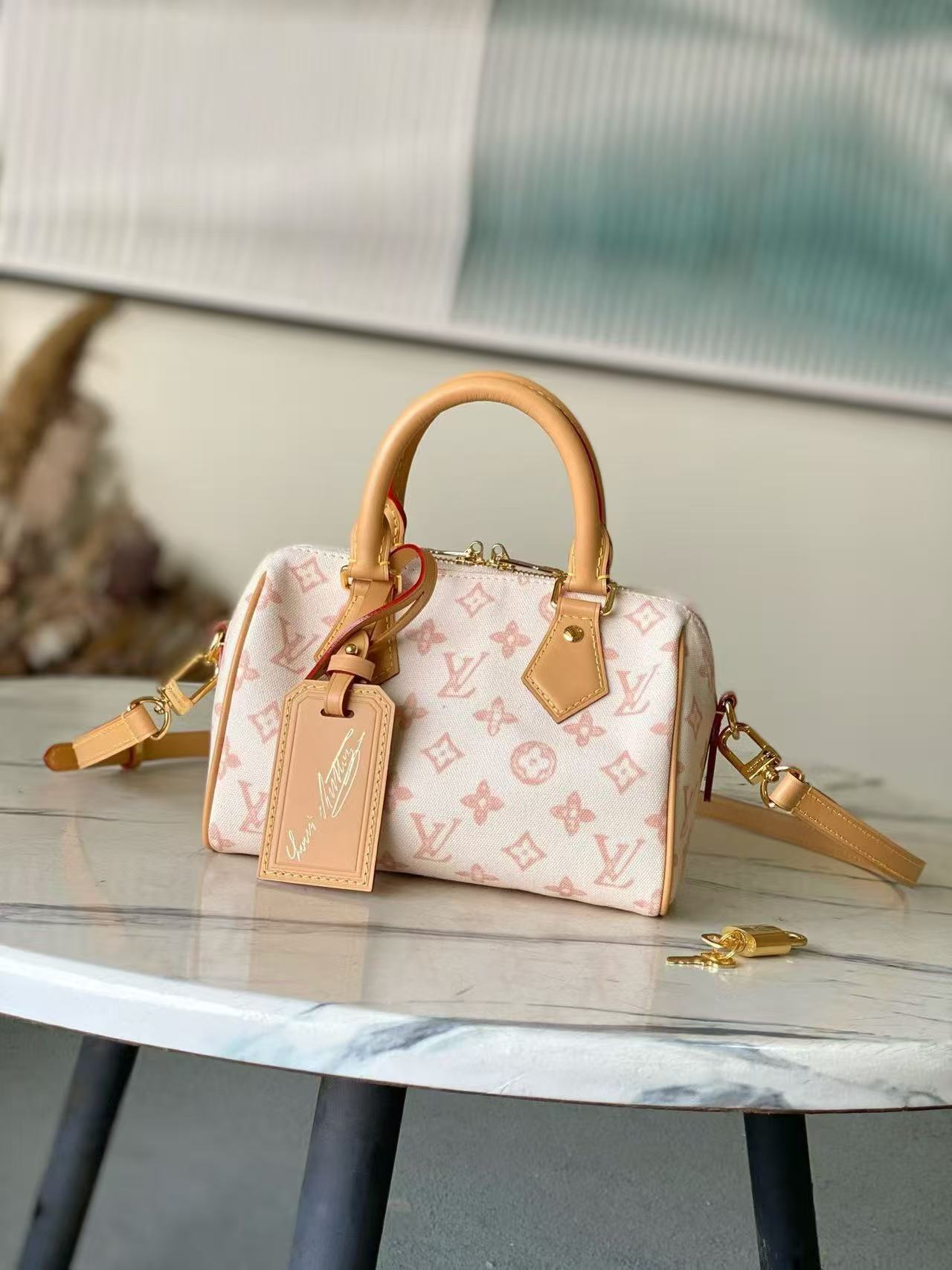 Louis Vuitton LV SPEEDY BANDOULIÈRE 20 Bags