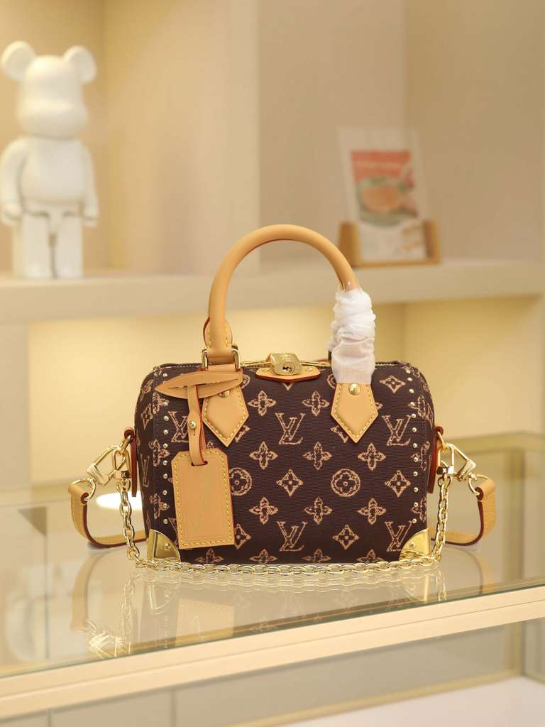 Louis Vuitton LV speedy 20 handbag