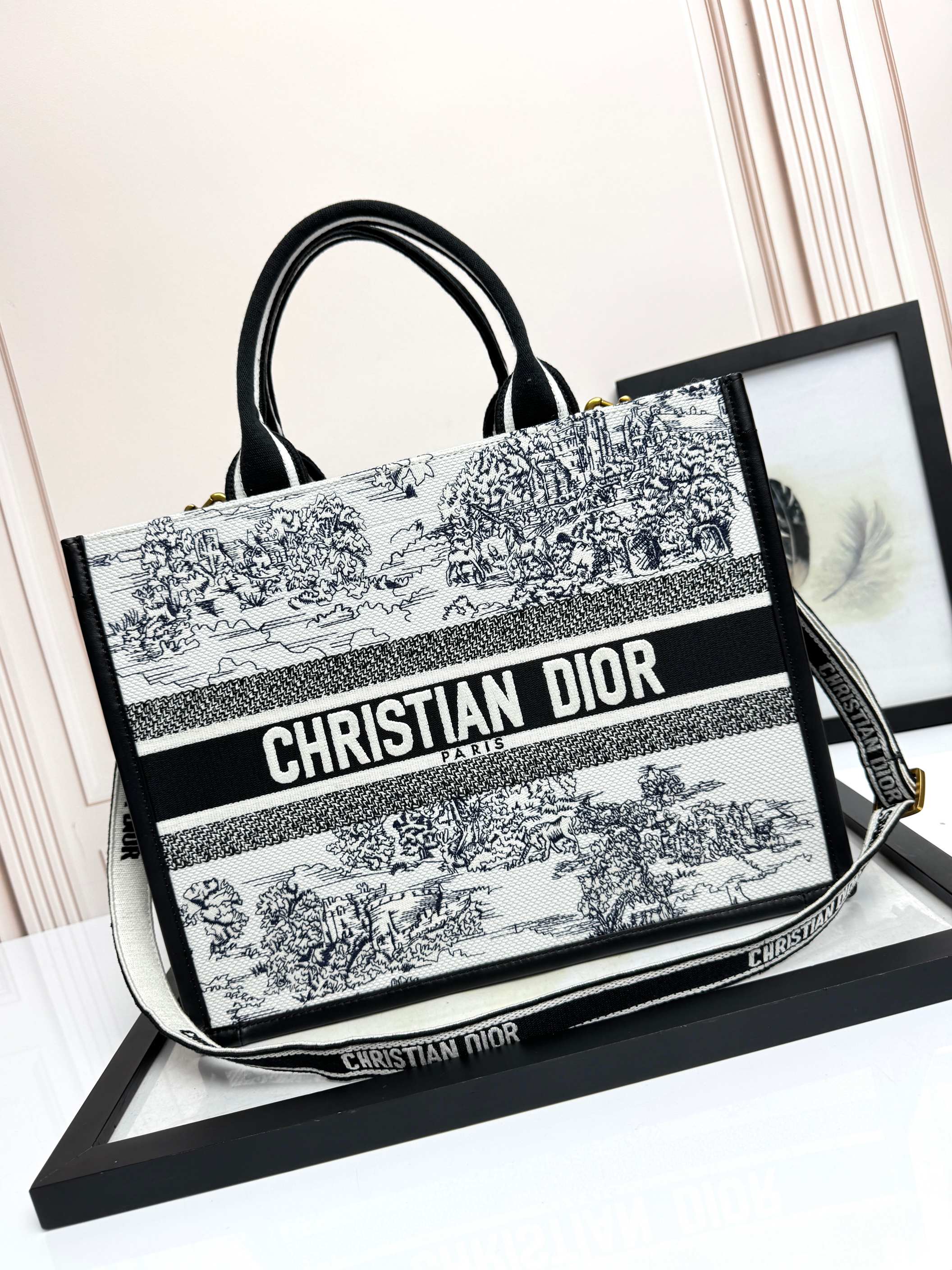 Dior Embroidered Canvas Medium  Book Tote with shoulder strap