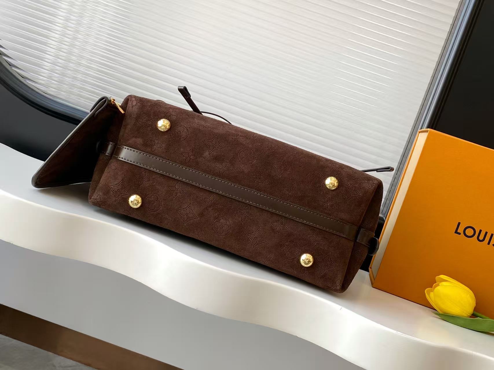 Louis Vuitton Ski Carry All Small Handbag