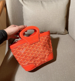 Goyard mini handbag