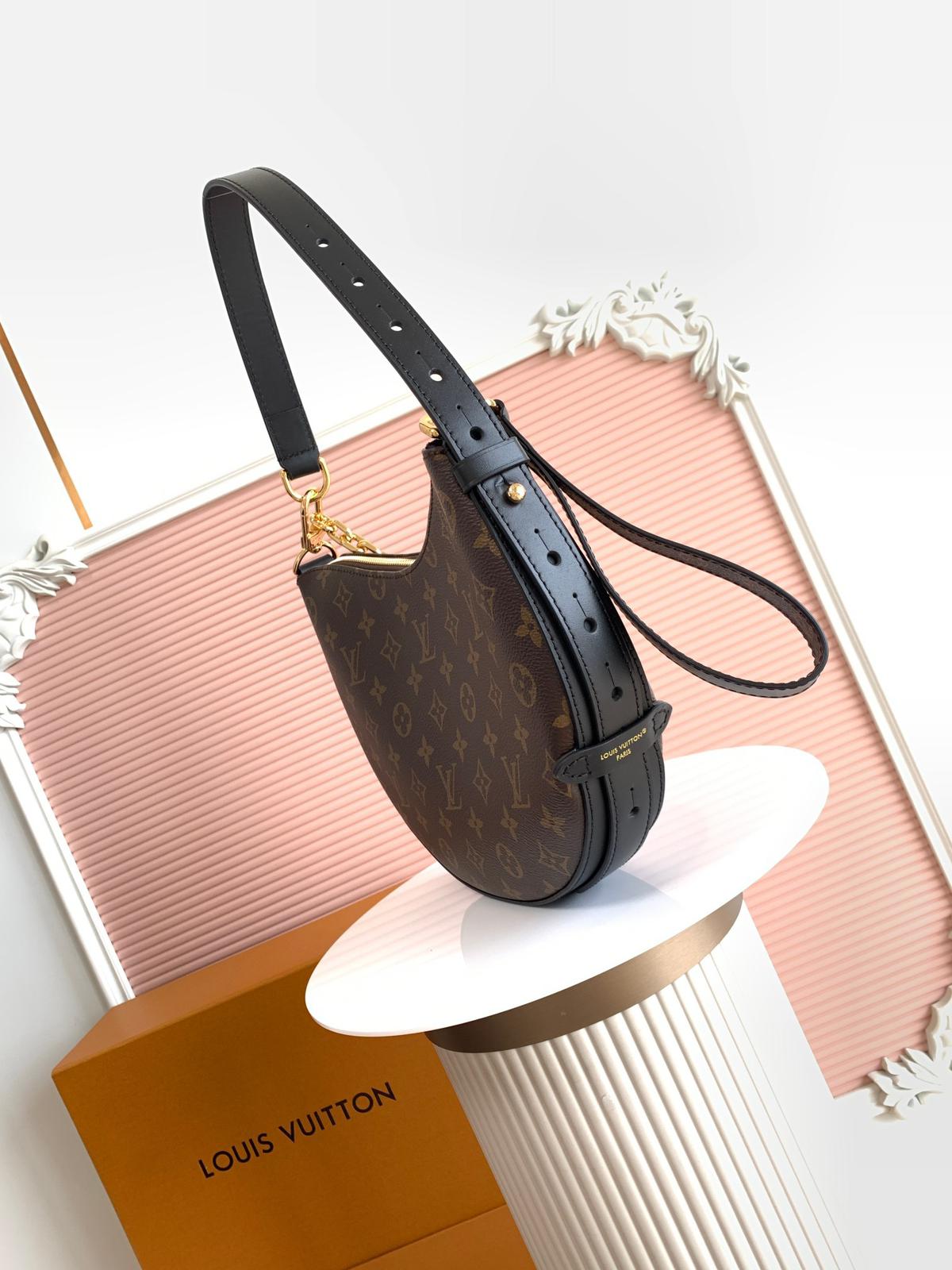 Louis Vuitton LV classic printed hobo bag