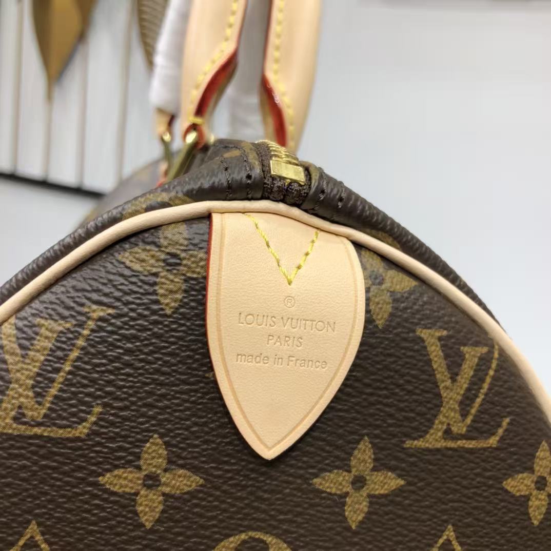 Louis Vuitton LV Speedy handbag
