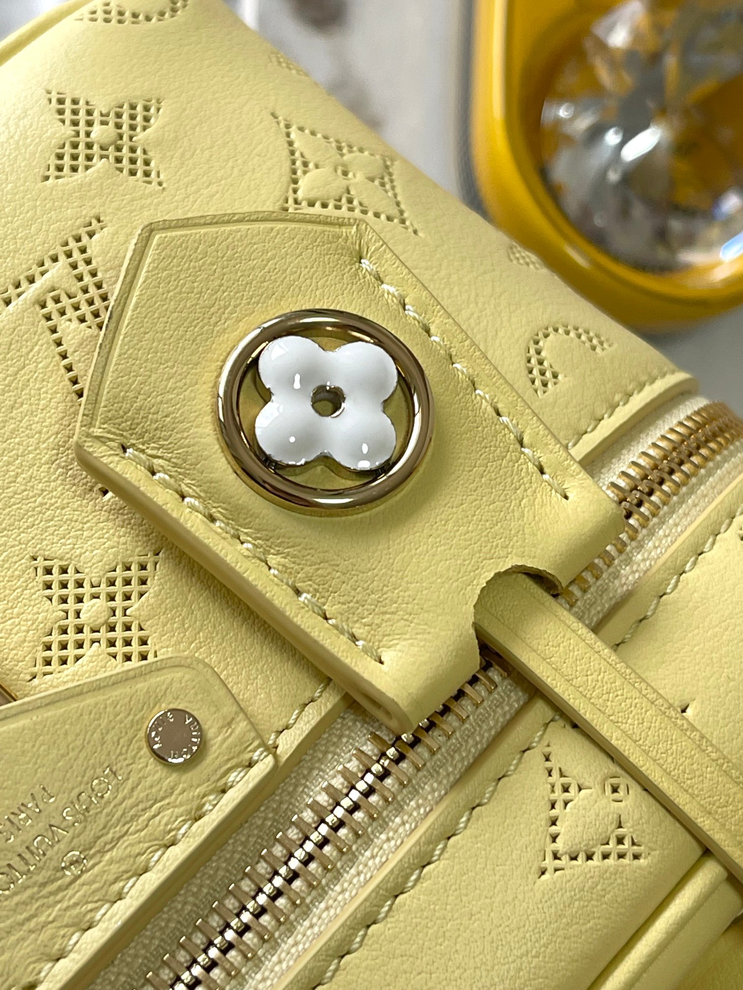 Louis Vuitton Vanity Pouch handbag