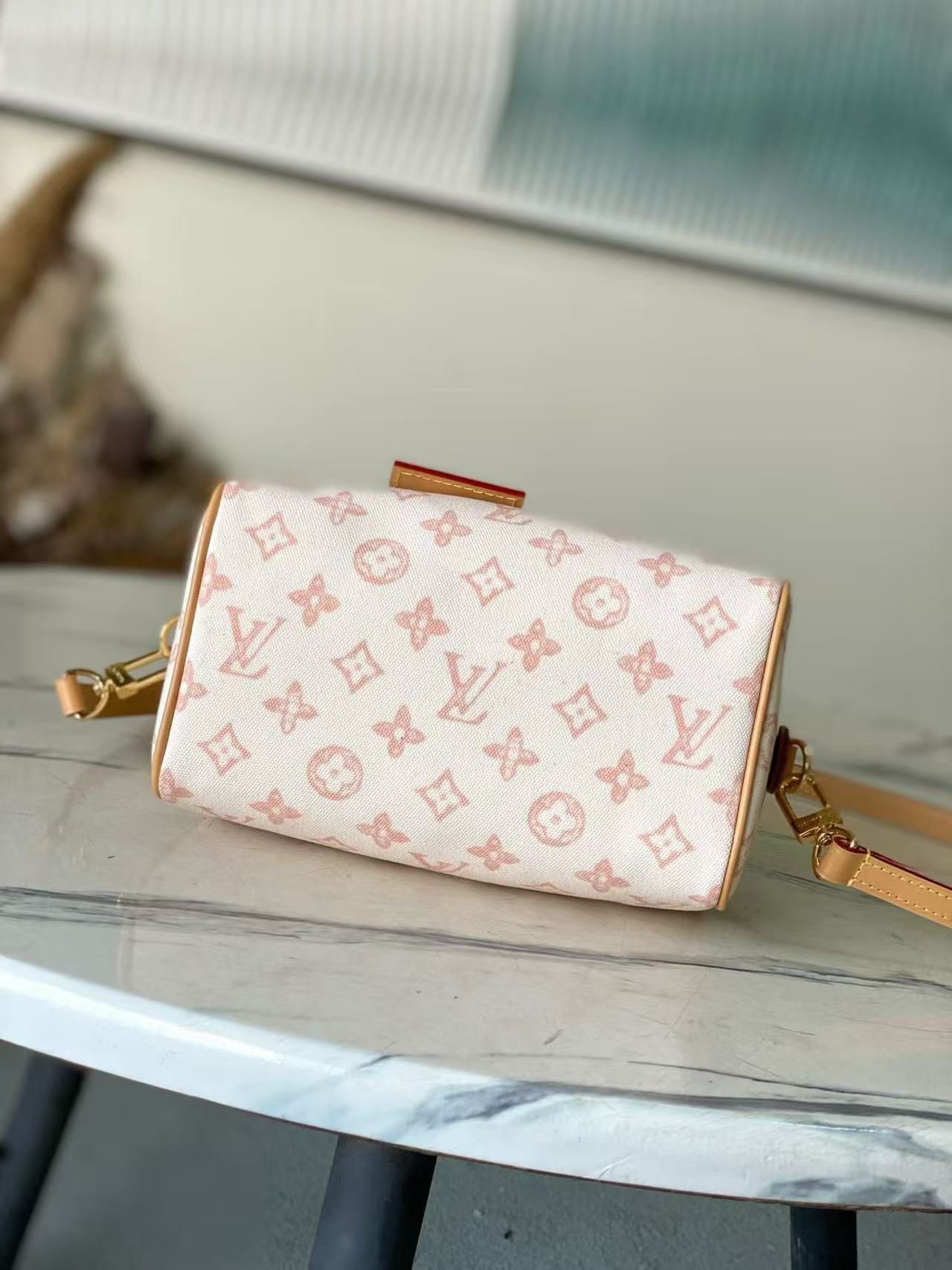 Louis Vuitton LV SPEEDY BANDOULIÈRE 20 Bags