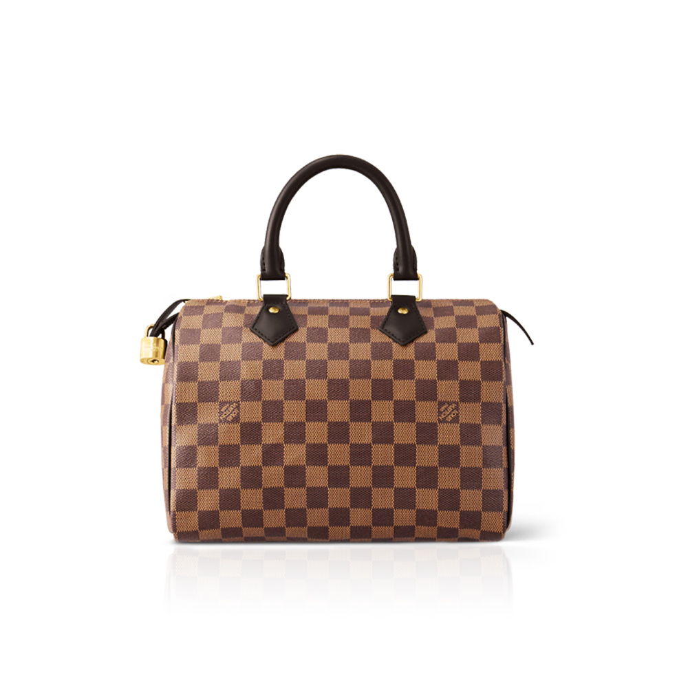 Louis Vuitton LV Speedy 25 Damier Ebene Women Handbag
