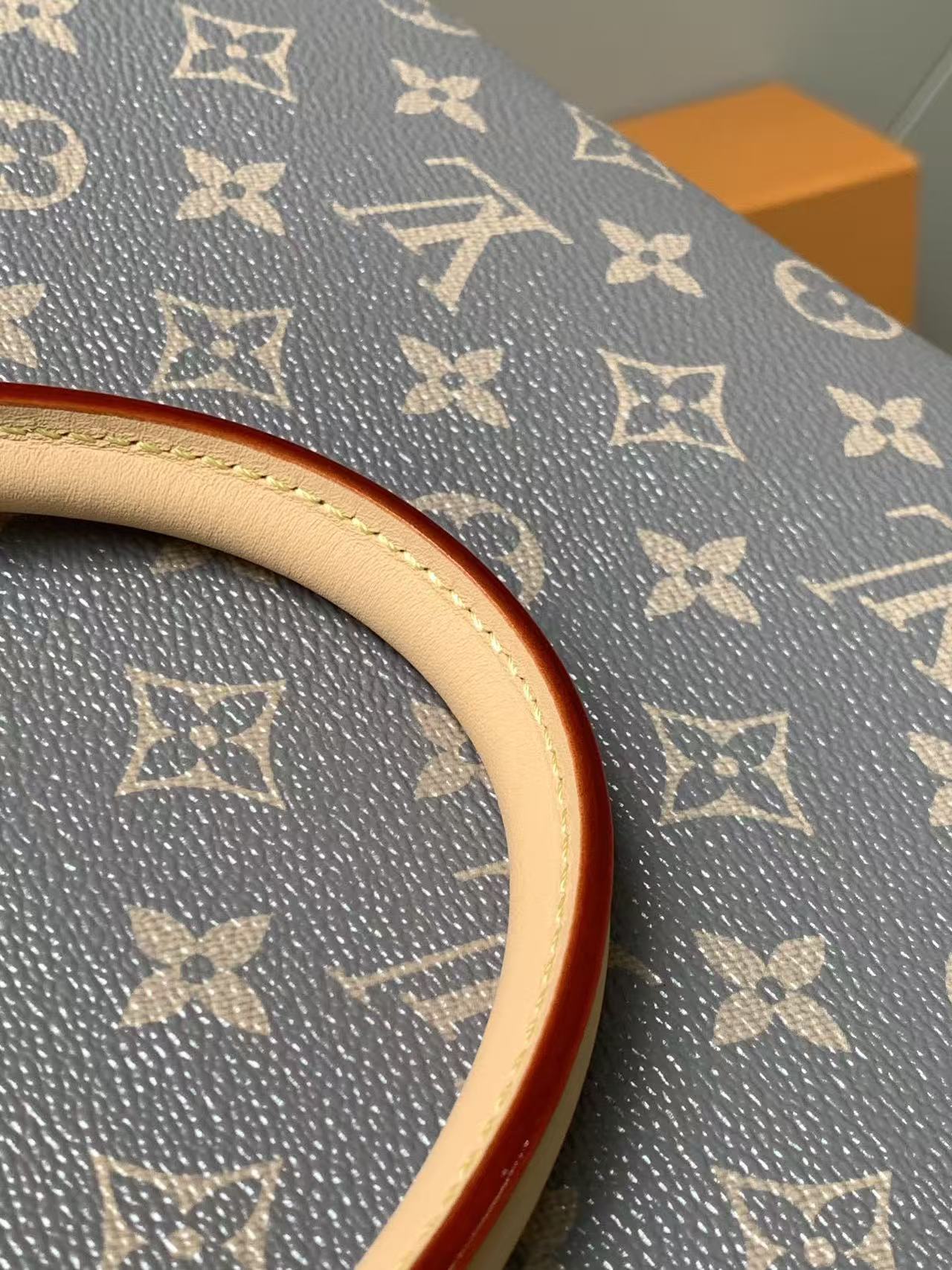 Louis Vuitton LV OnTheGo MM handbag