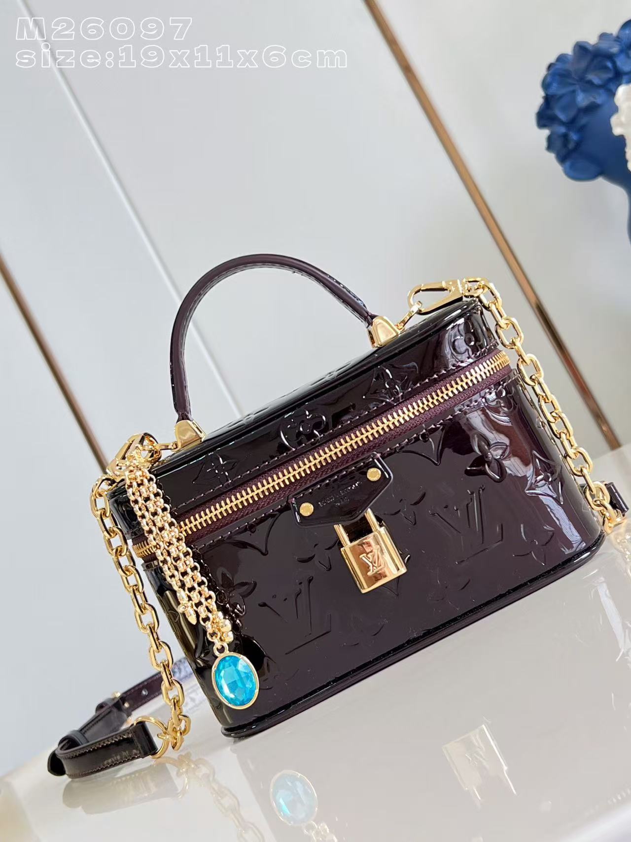 Louis Vuitton LV Vanity Chain Pouch handbag