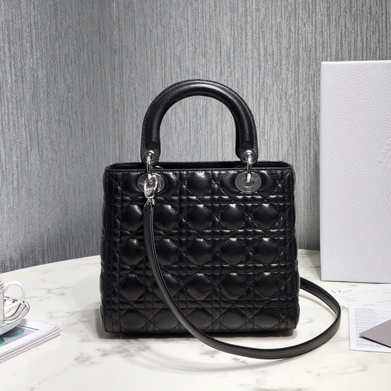 Dior The LADY D-LITE Bag  AAA Quality