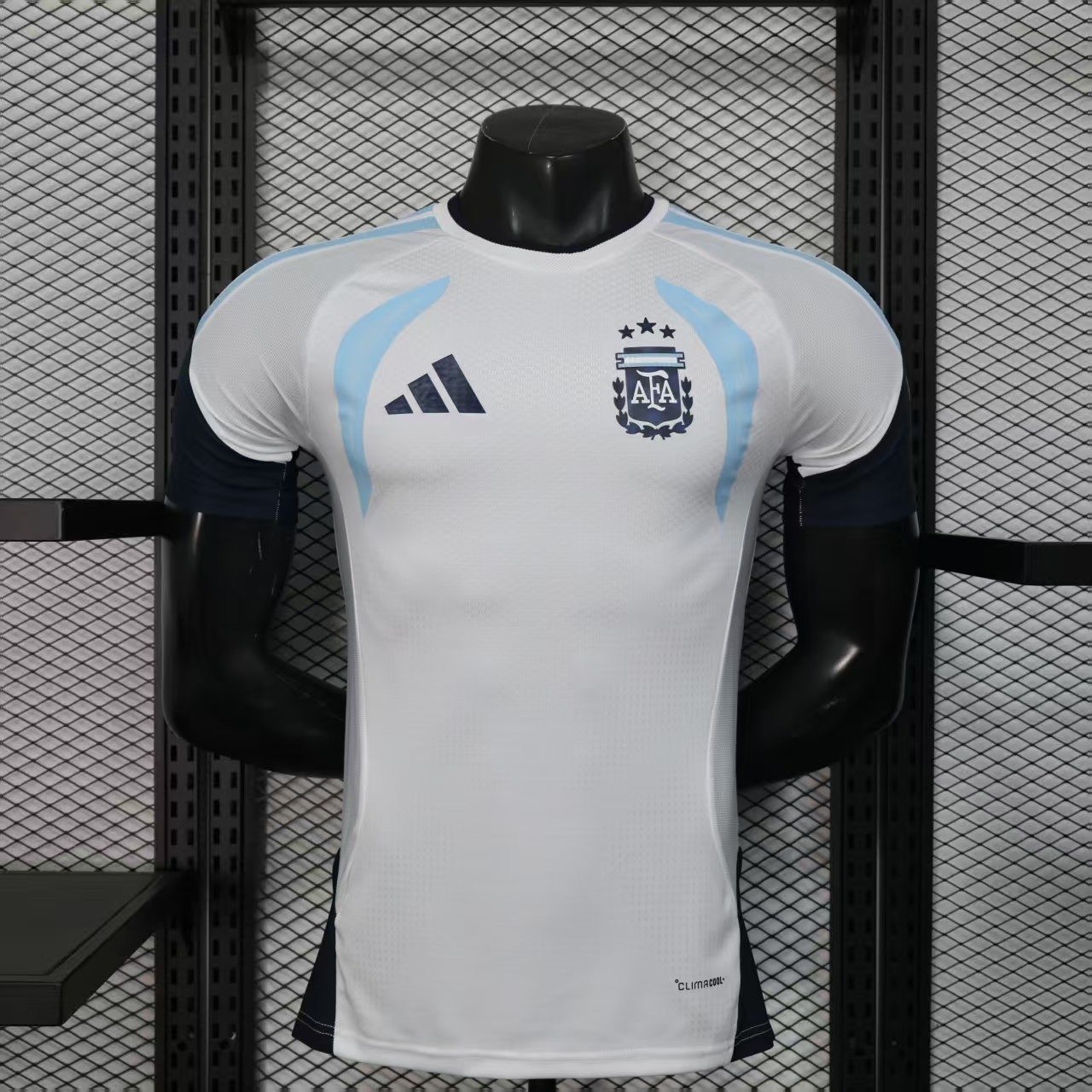Argentina Pre-Match Training Jersey Player Version World Cup 2026