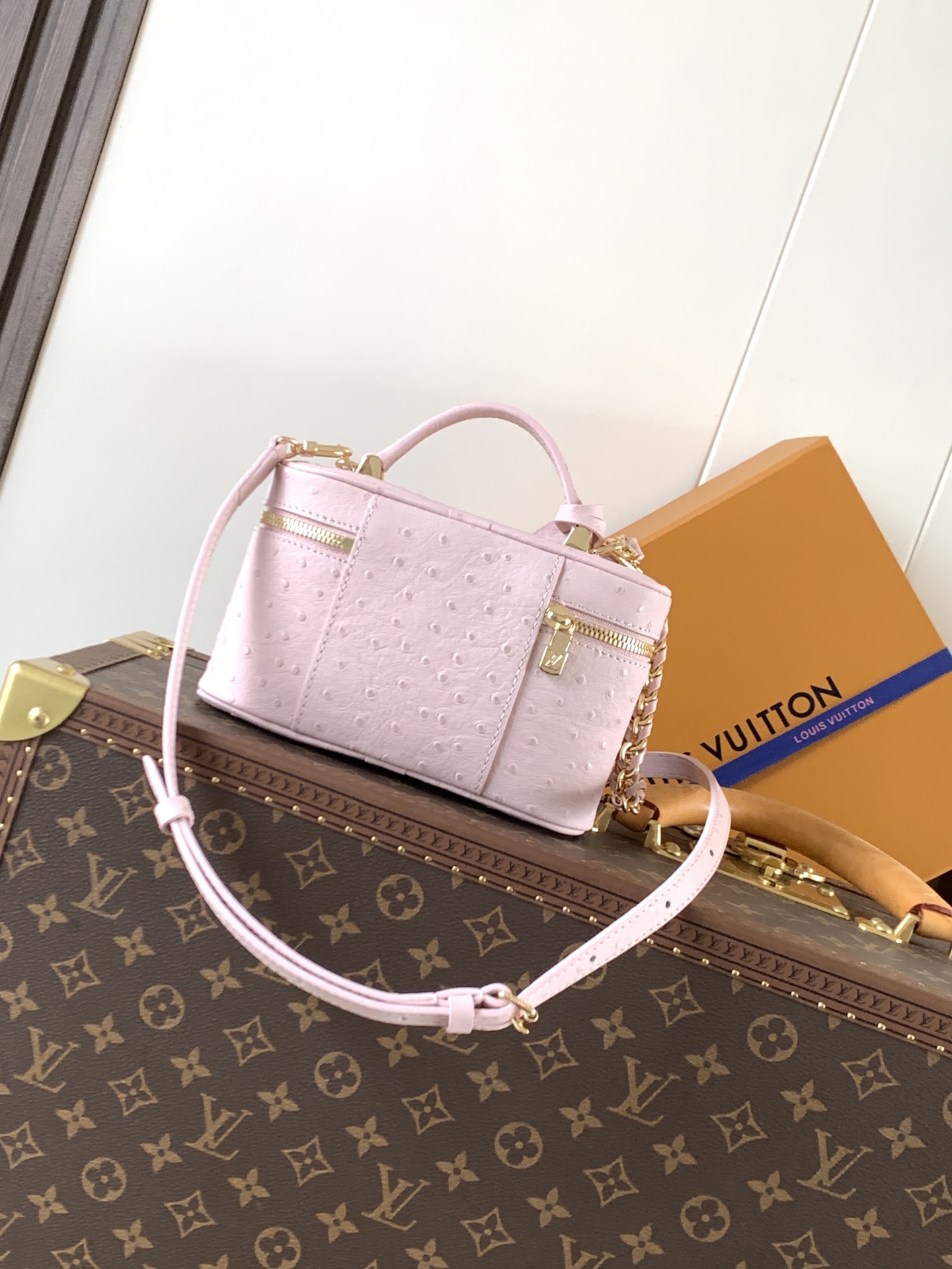 Louis Vuitton ostrich patterned Vanity Chain Pouch handbag