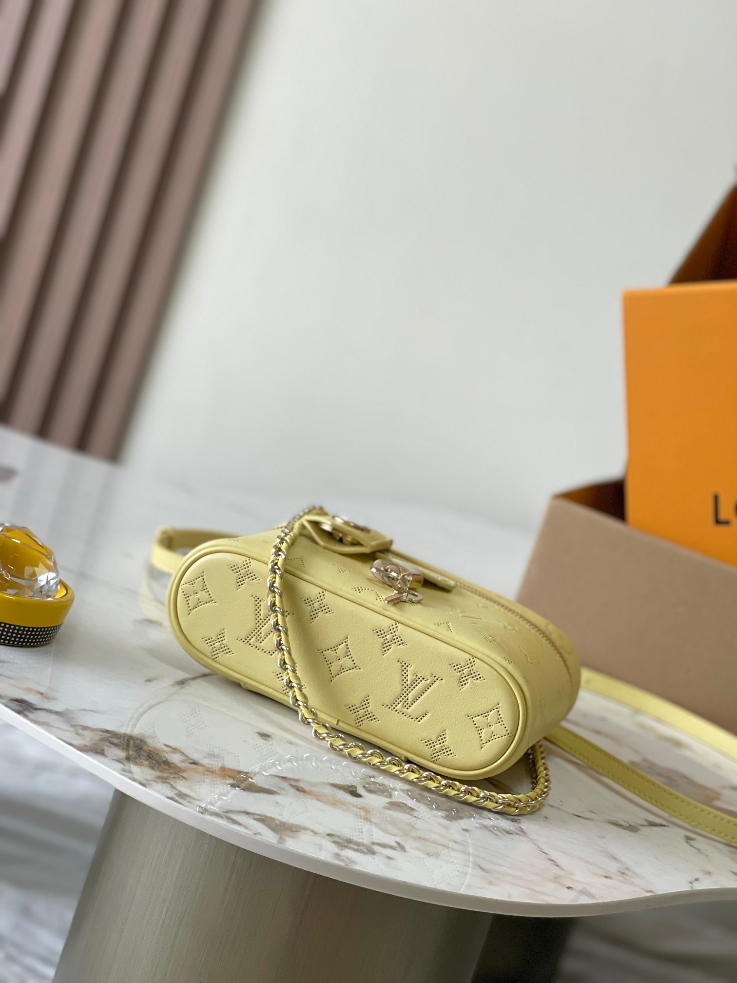 Louis Vuitton Vanity Pouch handbag