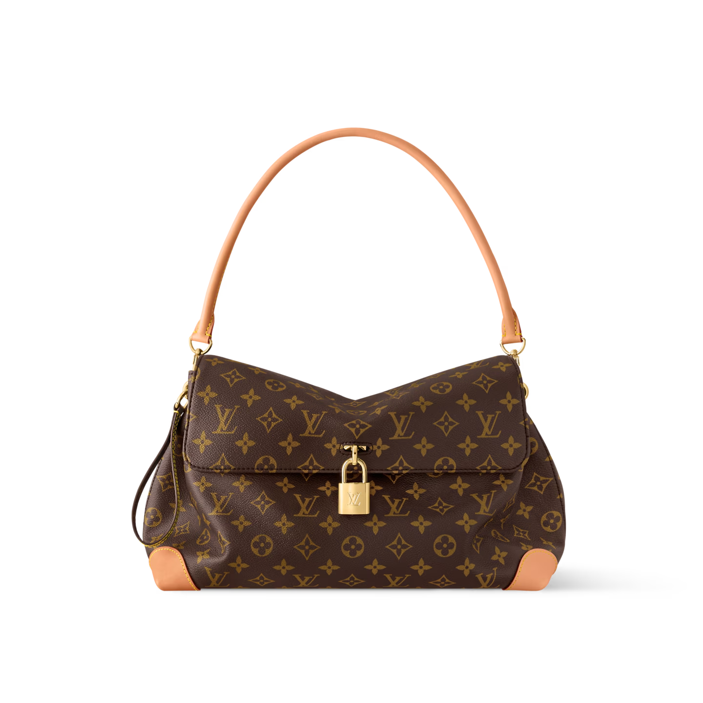 Louis Vuitton LV HIDE AWAY Bags