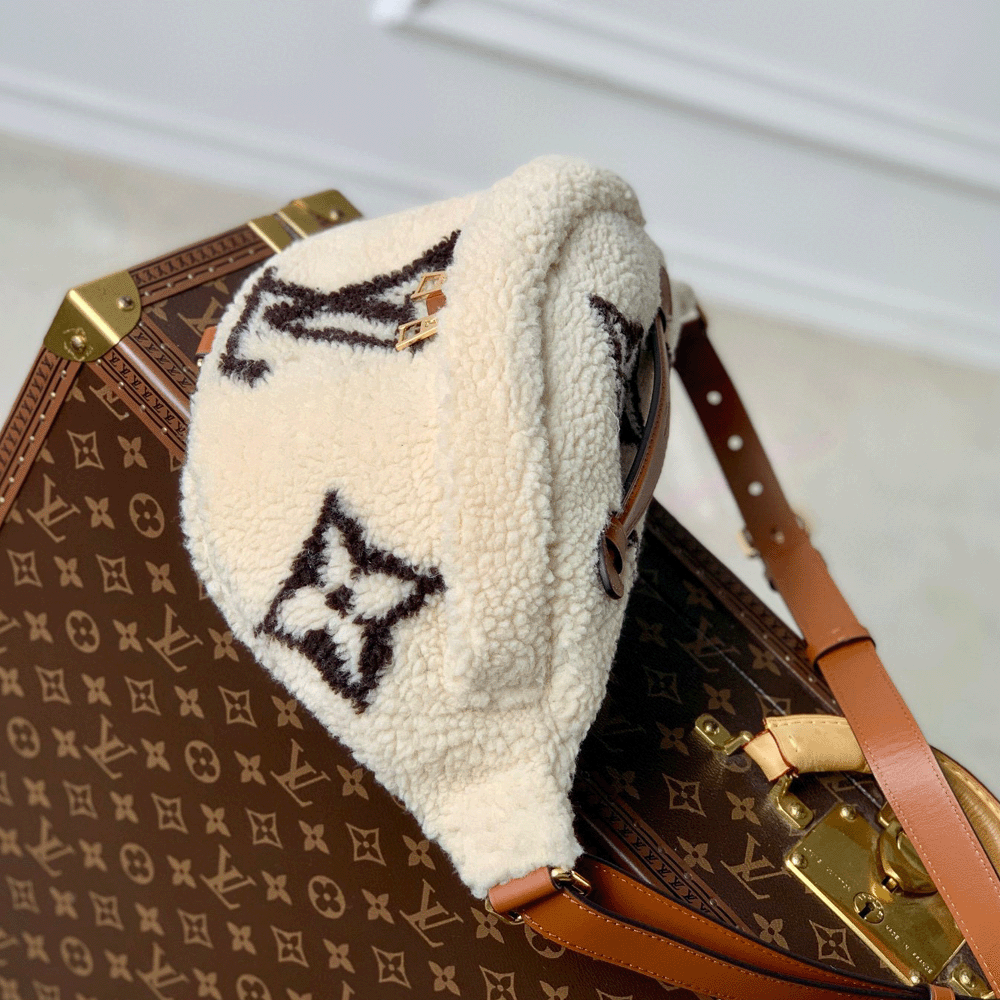 Louis Vuitton LV SKI Bumbag