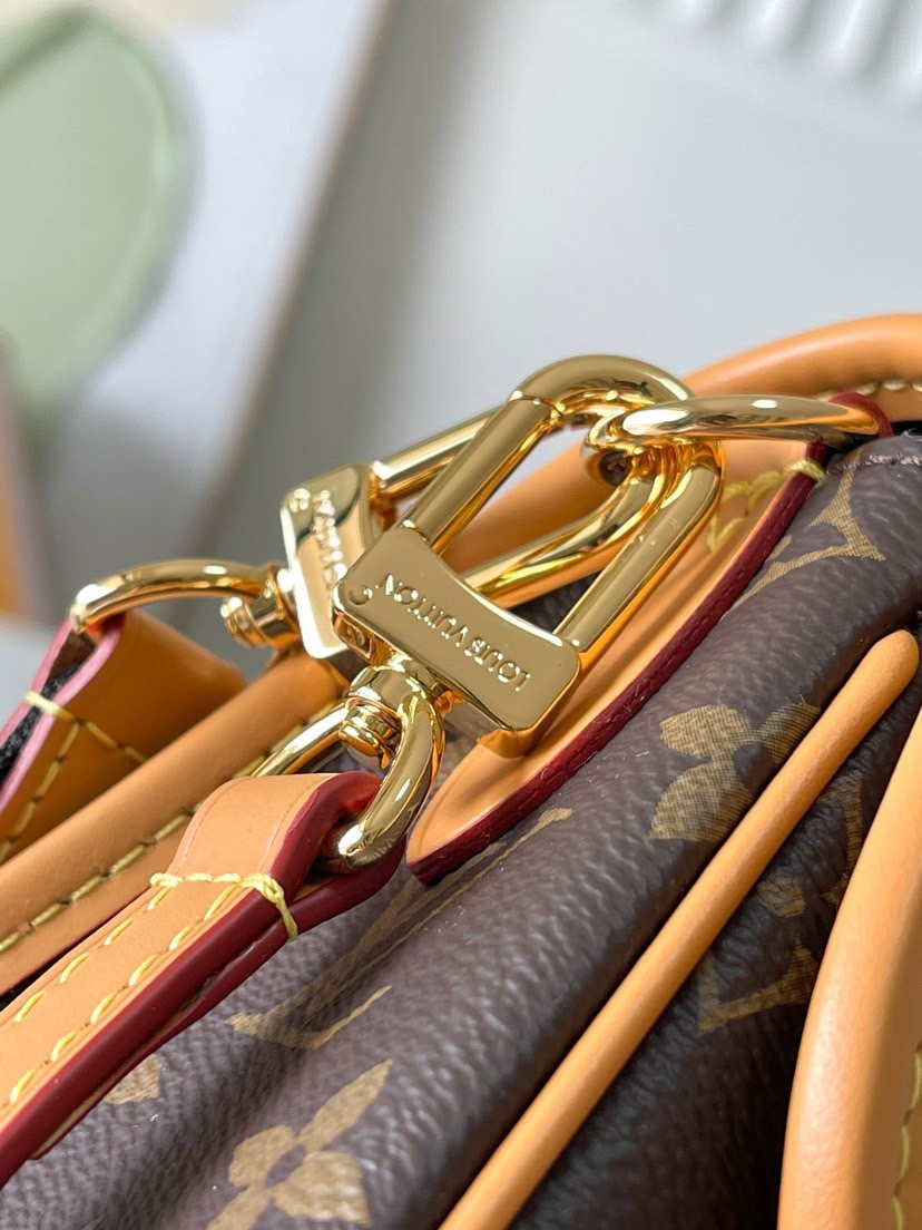 Louis Vuitton LV presbyopic cross-body handbag