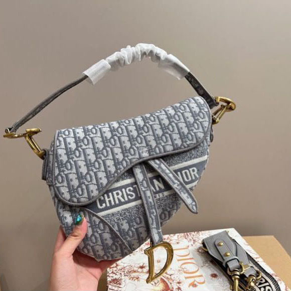 Dior SADDLE Bag Oblique Embroidered Handbag