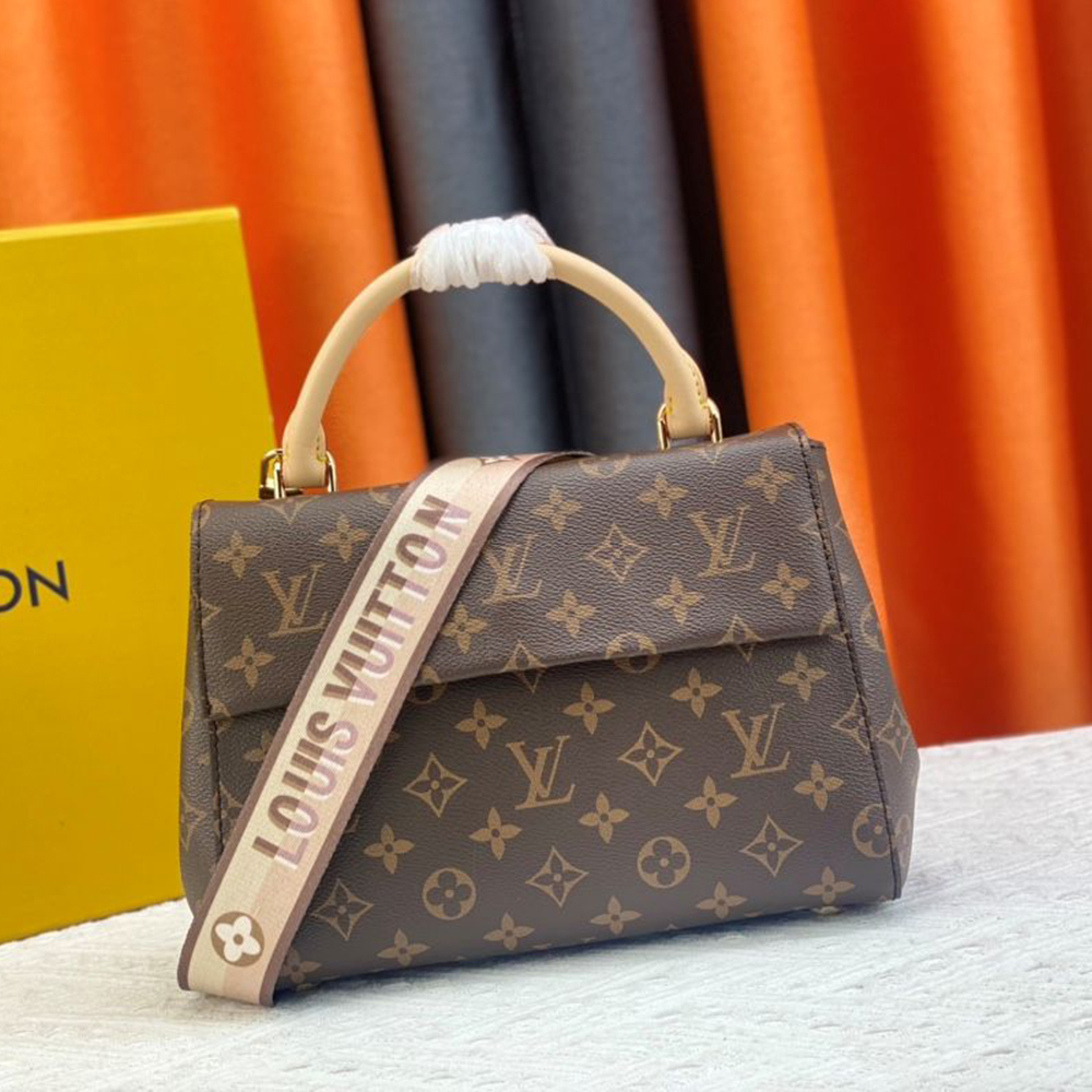 Louis Vuitton LV Cluny Leather Shoulder Crossbody Bag M46055&M46054