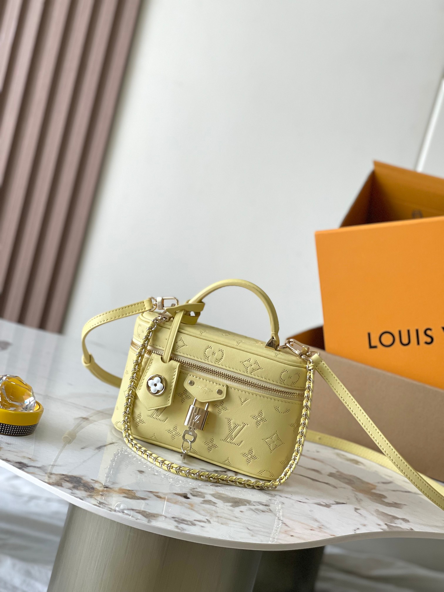 Louis Vuitton Vanity Pouch handbag