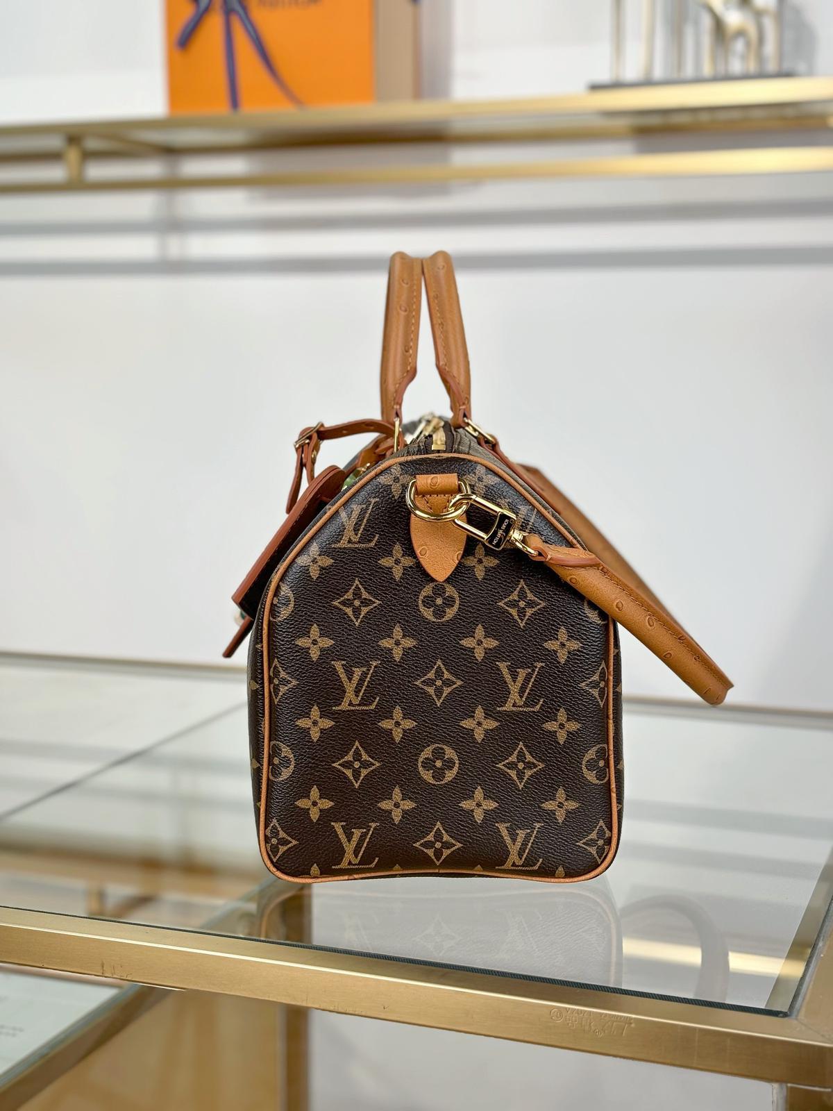 Louis Vuitton Bags SPEEDY SOFT 30 BOHO handbag