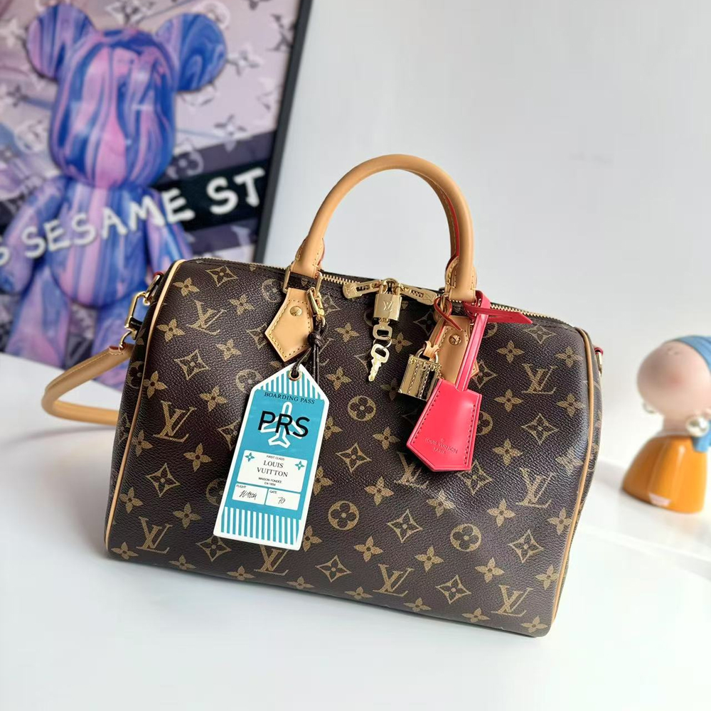Louis Vuitton Bags Speedy Soft 30 Crafty in Canvas with Gold-tone