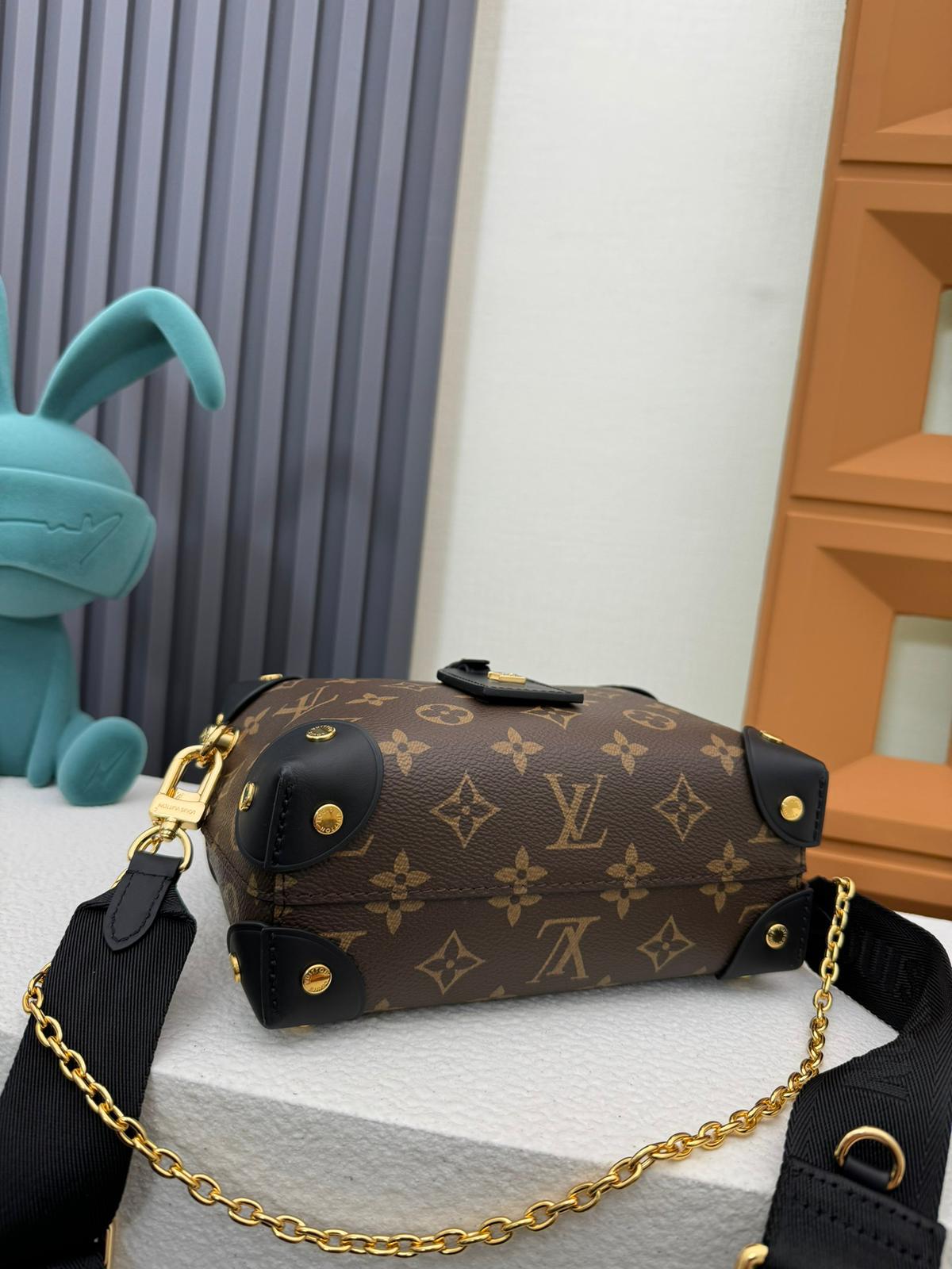Louis Vuitton LV Petite malle souple bag
