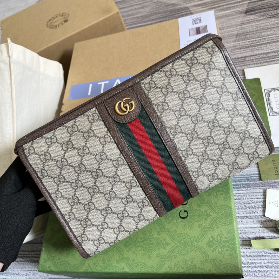 Gucci Ophidia medium pouch 598234