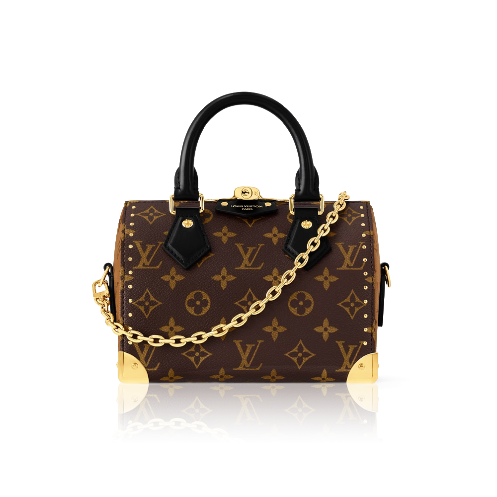 Louis Vuitton LV Speedy Trunk 20