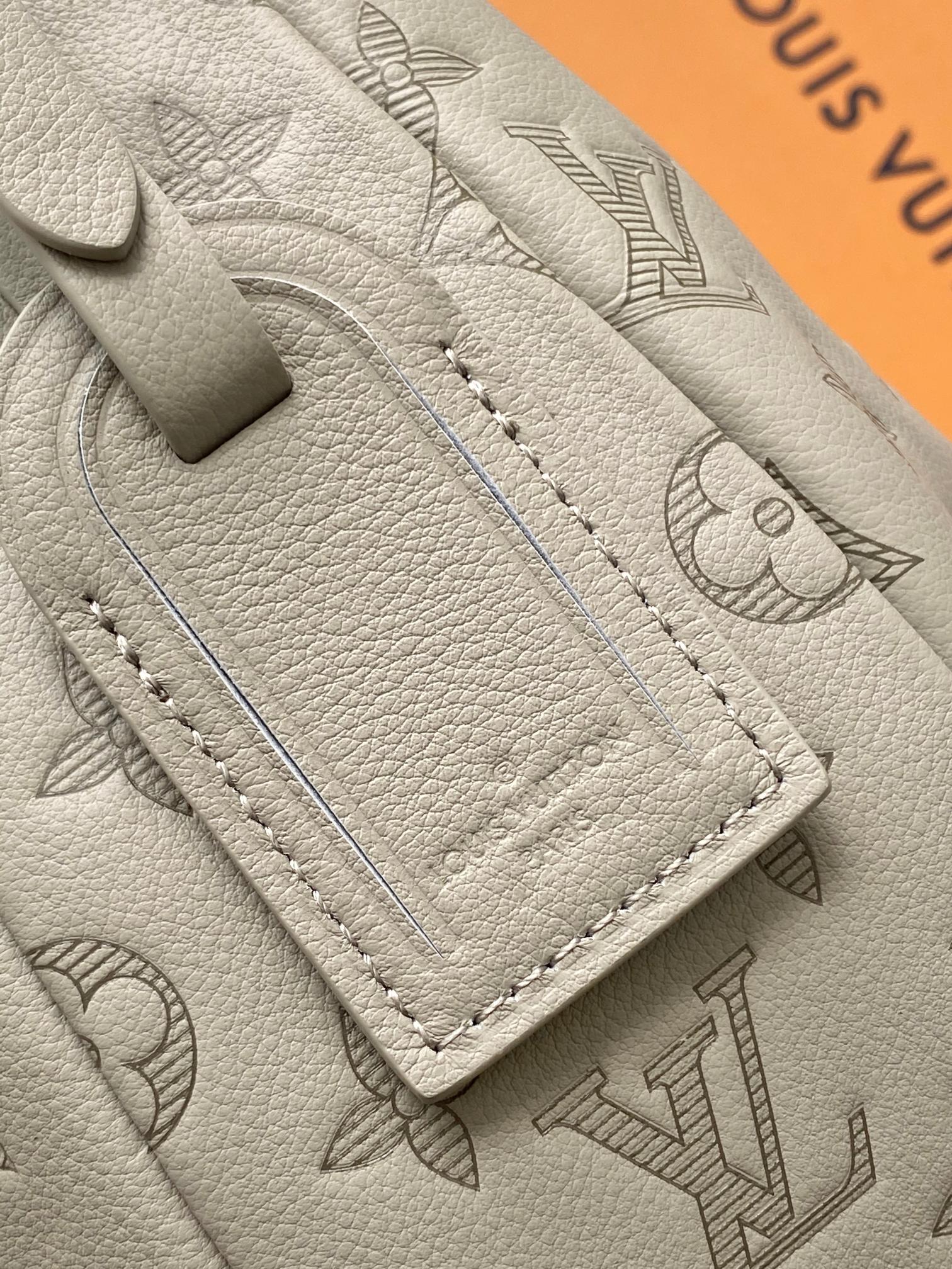 Louis Vuitton Hobo Hamac handbag