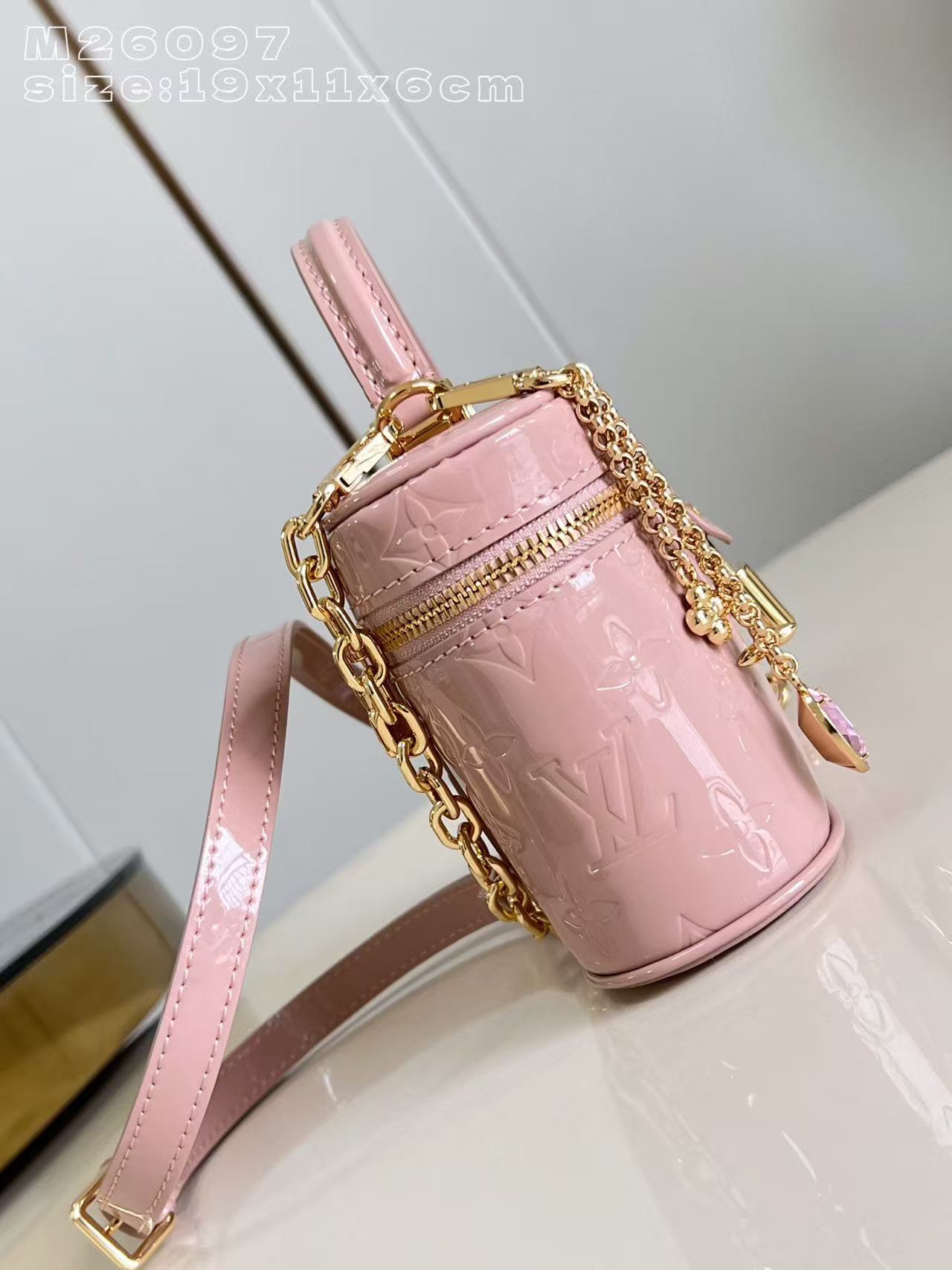 Louis Vuitton LV Vanity Chain Pouch handbag