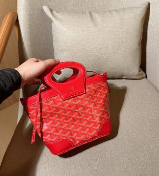 Goyard mini handbag