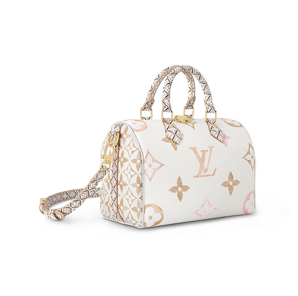 Louis Vuitton LV Speedy 25 Handbag
