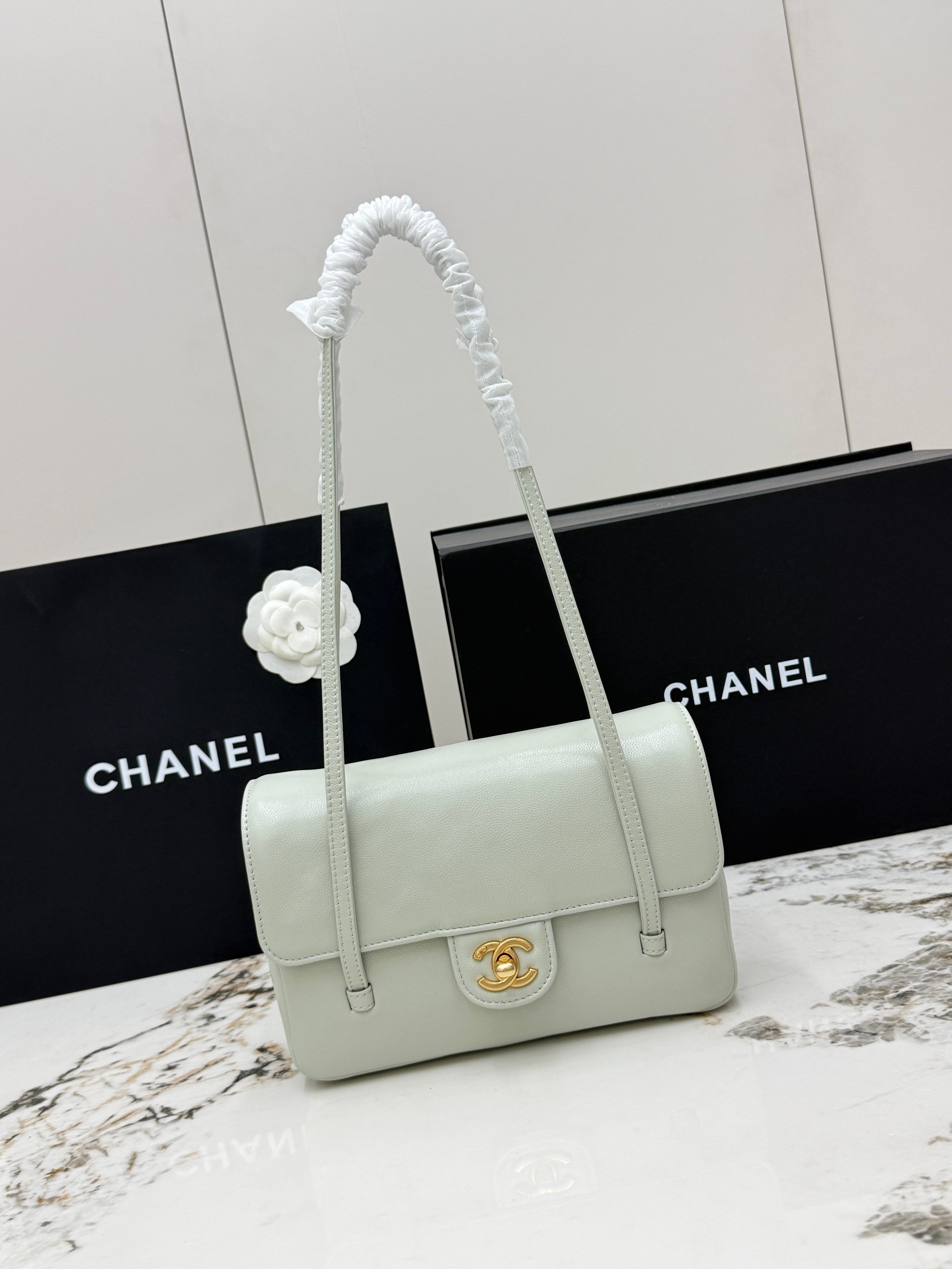 Chanel Spring Summer 2026 Small Flap Bag in Light Green