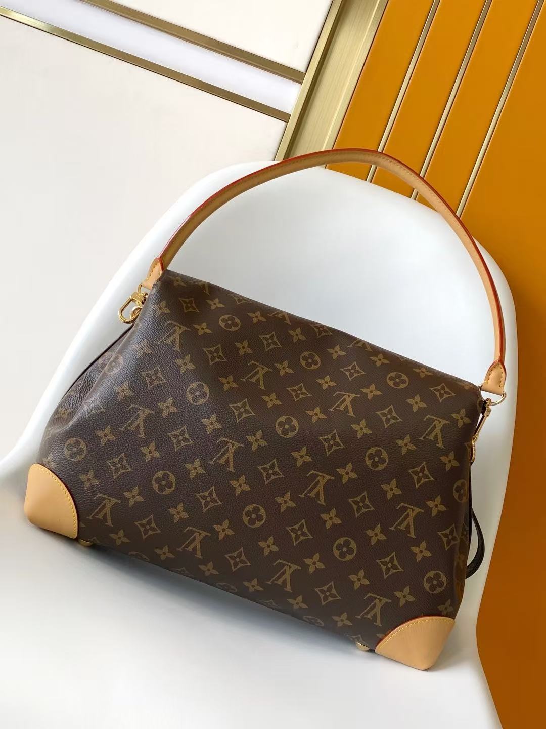 Louis Vuitton LV HIDE AWAY Bags