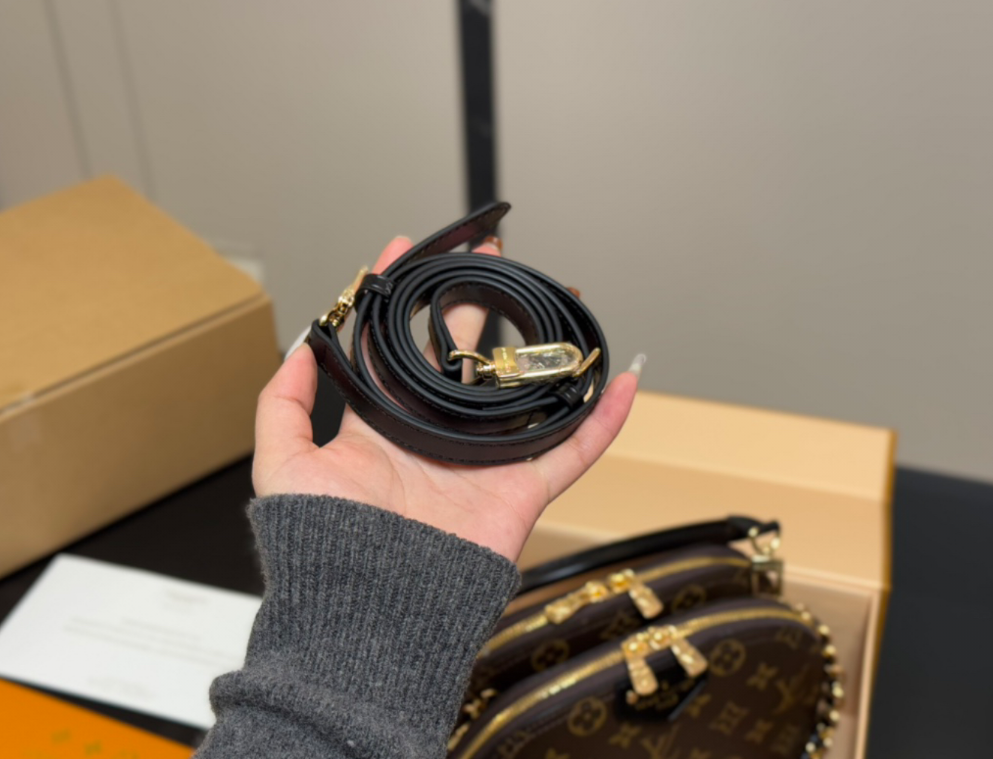 Louis Vuitton LV Versatile Classic Shell Bag