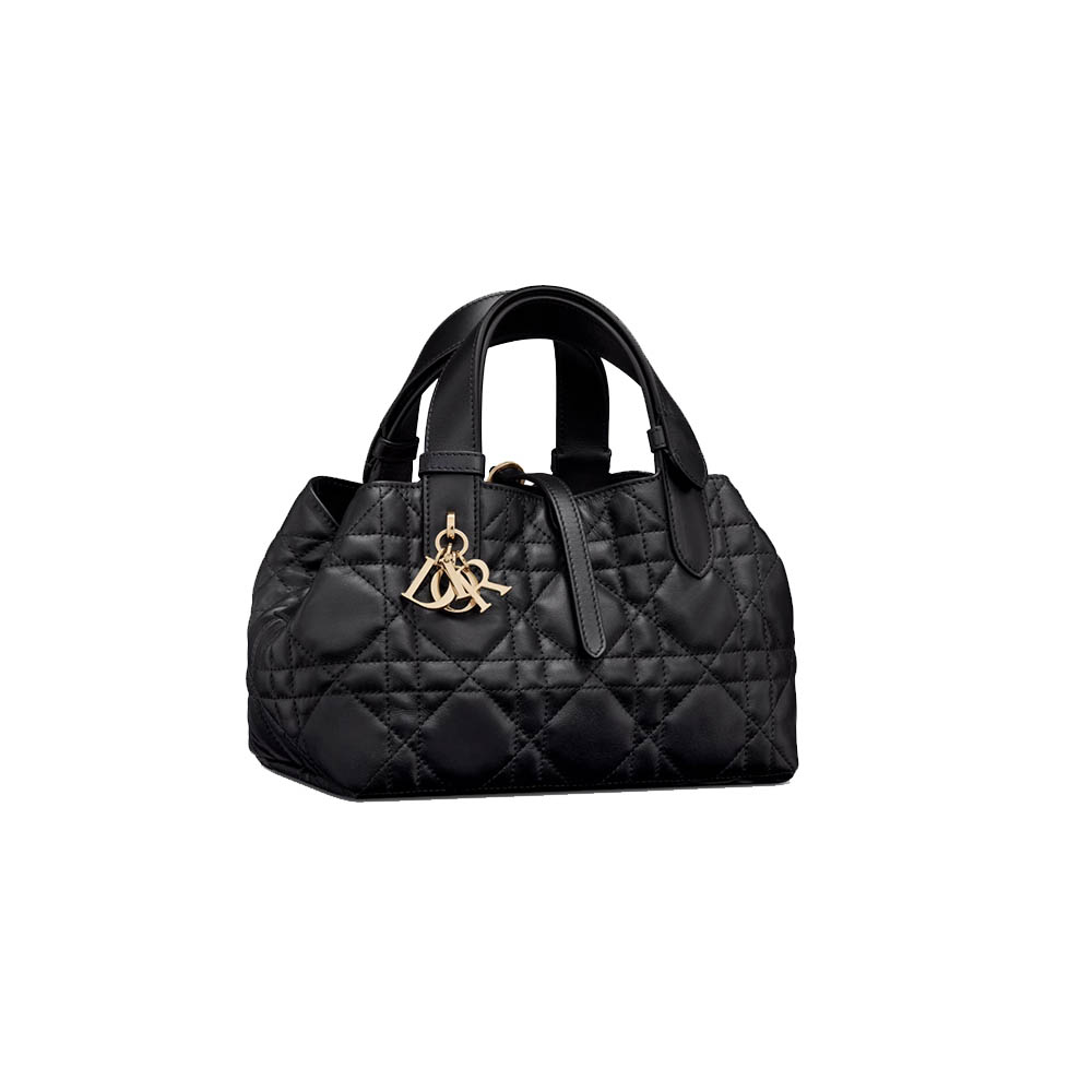 Dior Toujours Small Cowhide