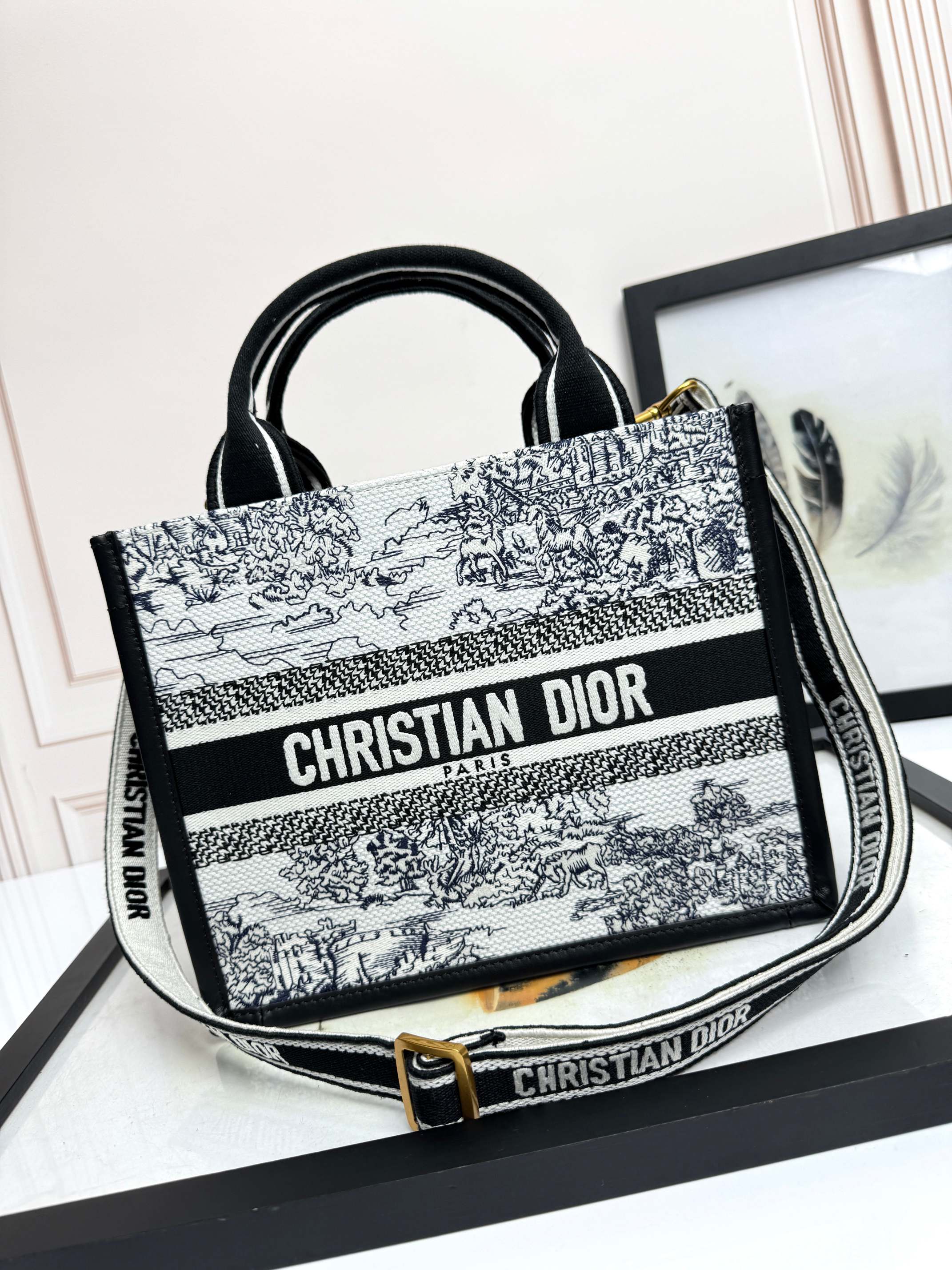 Dior Embroidered Canvas Small  Book Tote with shoulder strap