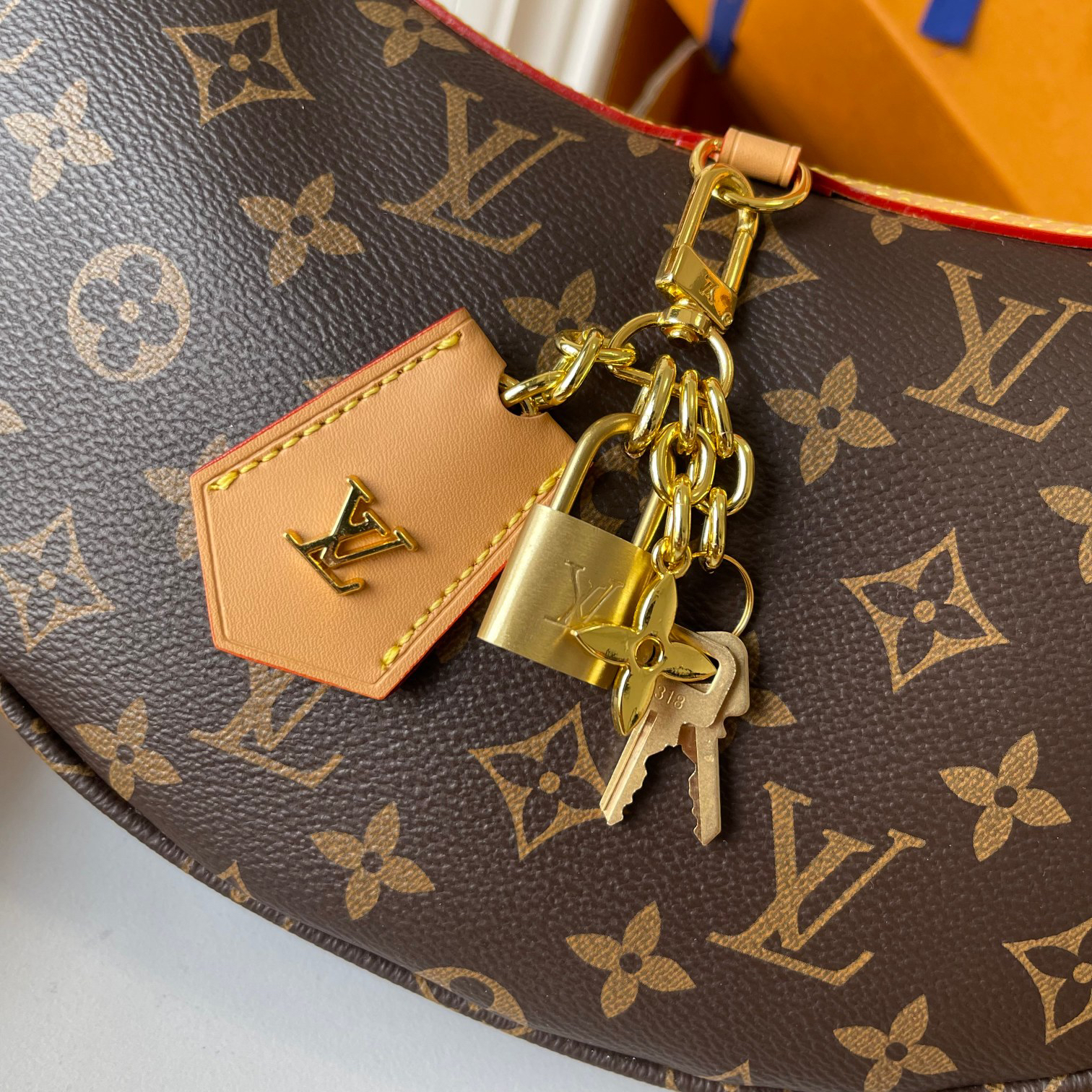 Louis Vuitton new loop hobo handbag
