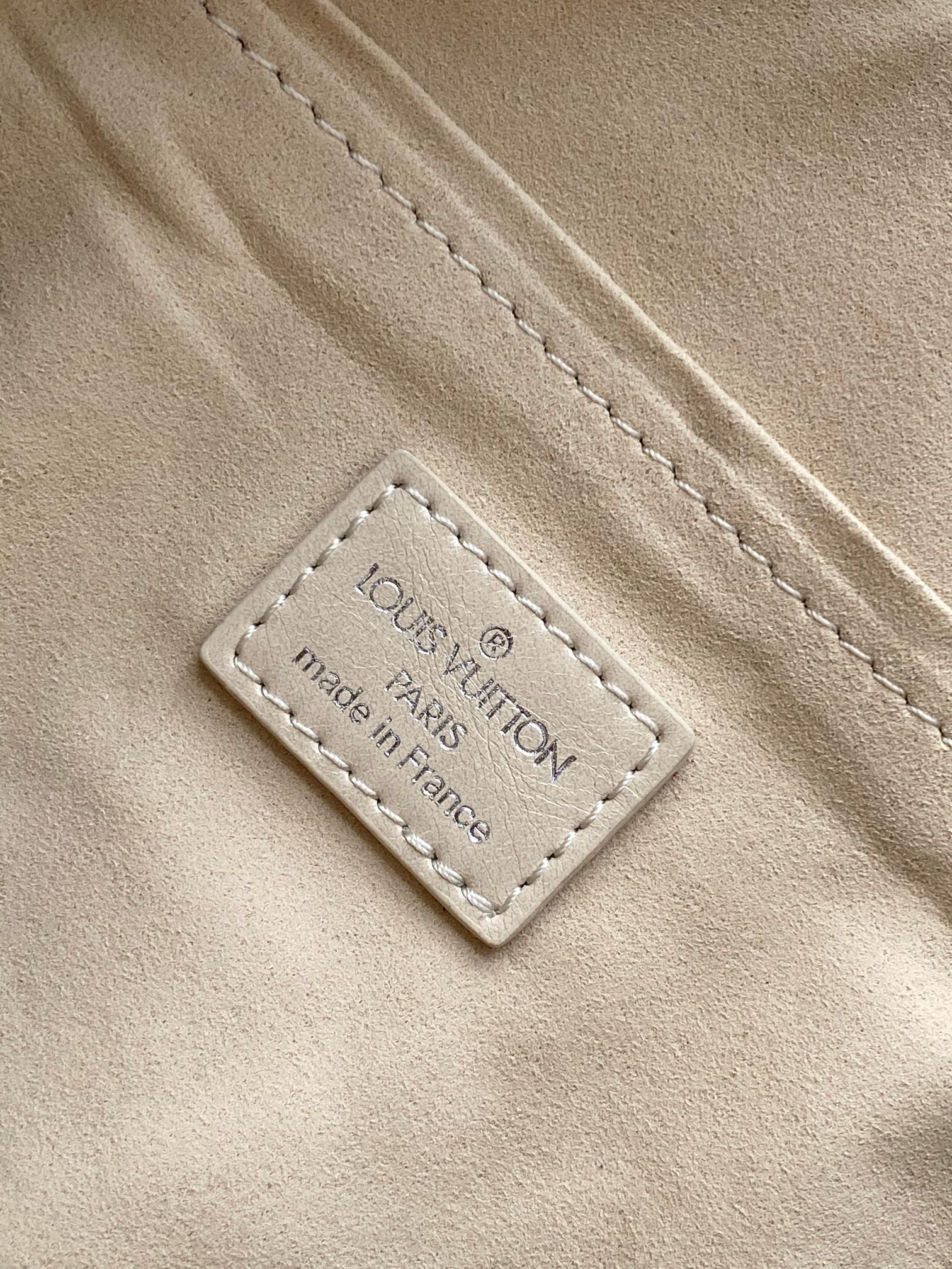 Louis Vuitton LV Speedy Cargo Vibe handbag