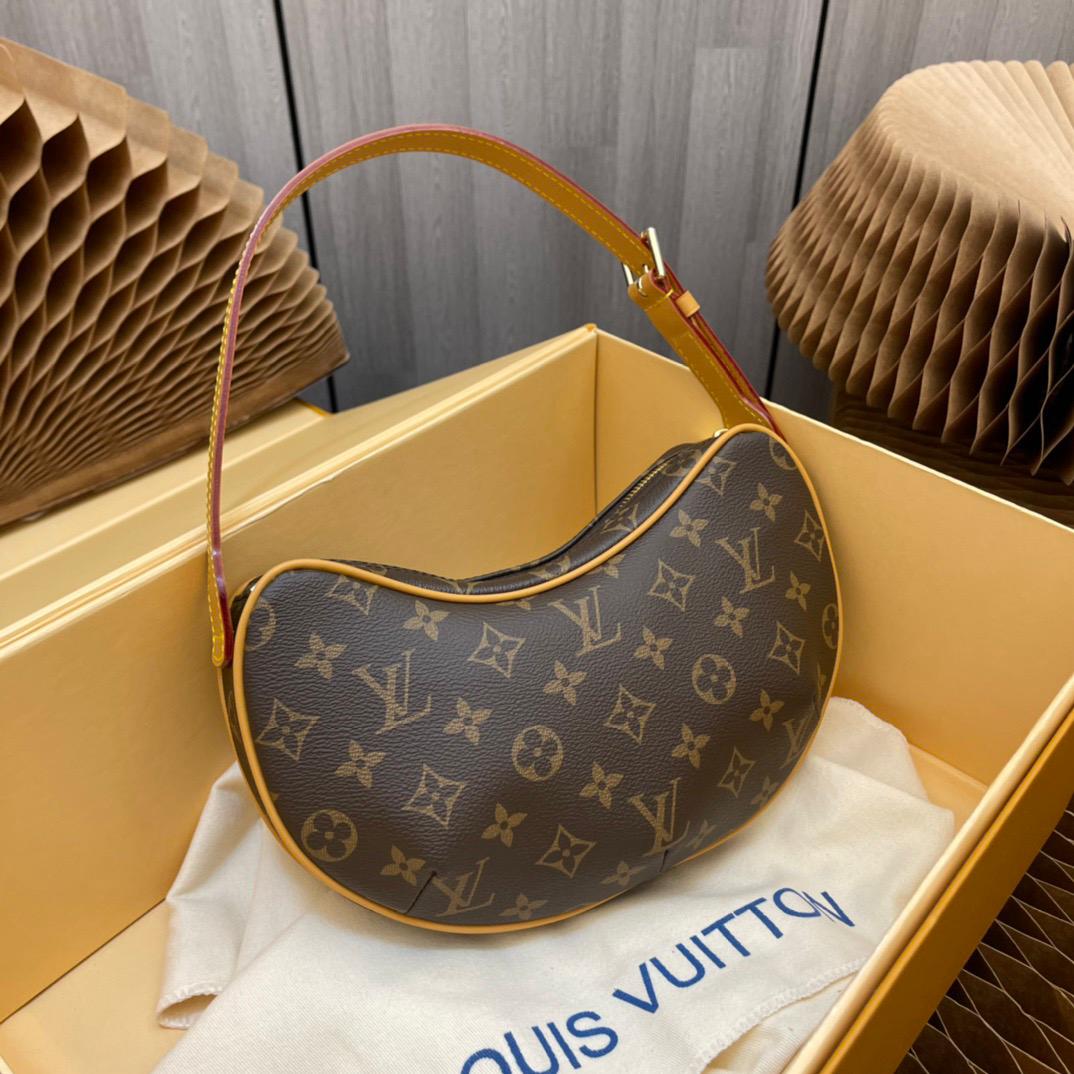 Louis Vuitton LV Classic printed pea bag