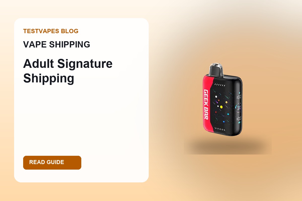 Disposable vape shipping adult signature blog cover with Testvapes product visual