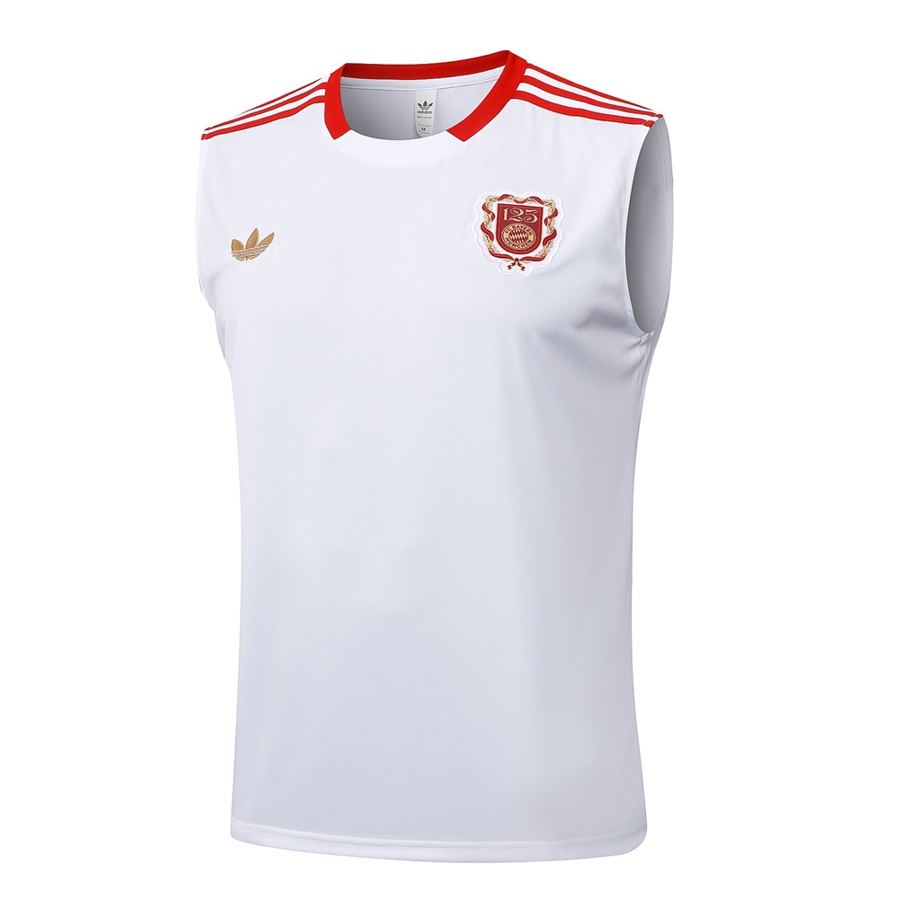 Bayern Munich Training Jersey 25/26